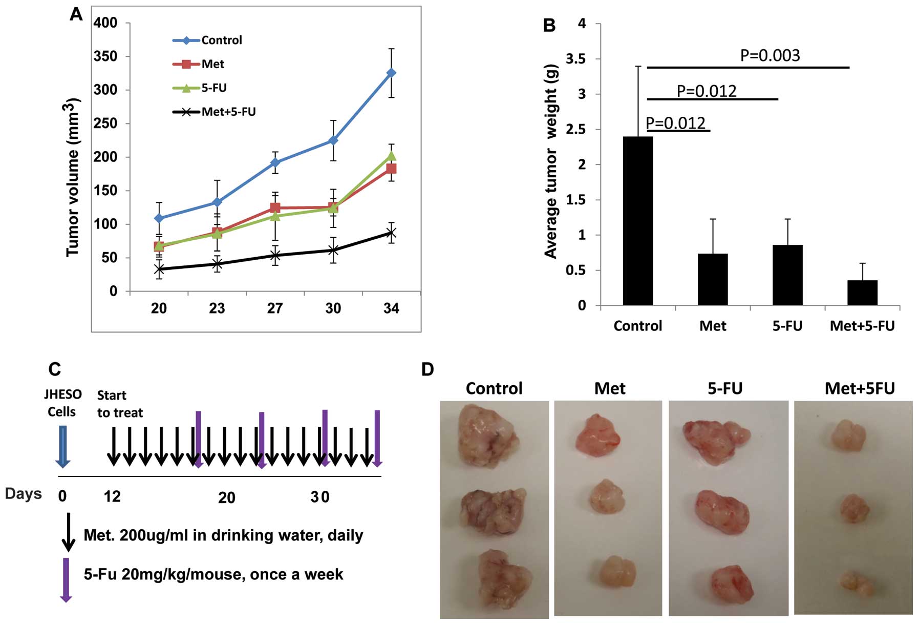 KMT2A knockdown inhibited melanoma progression in a mouse 