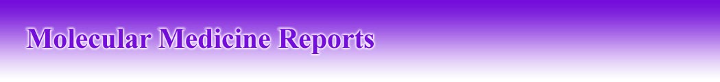Spandidos Logo