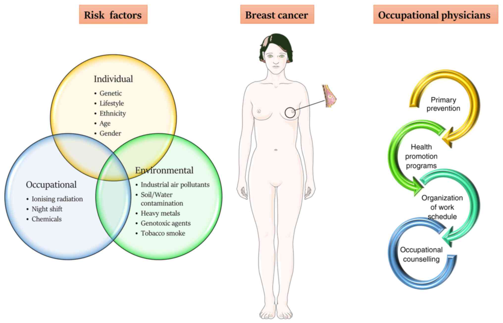 How Night Shift Work Increases Cancer Risk - Neuroscience News