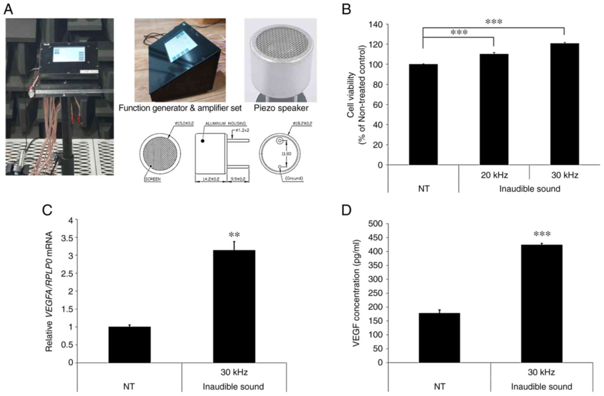 Induction of hair growth in hair follicle cells and organ cultures upon  treatment with 30 kHz frequency inaudible sound via cell proliferation and  antiapoptotic effects