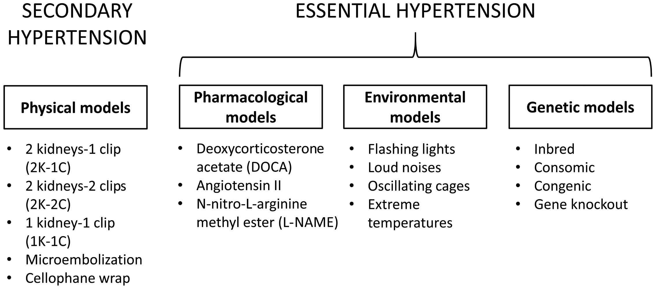 primary and secondary hypertension causes