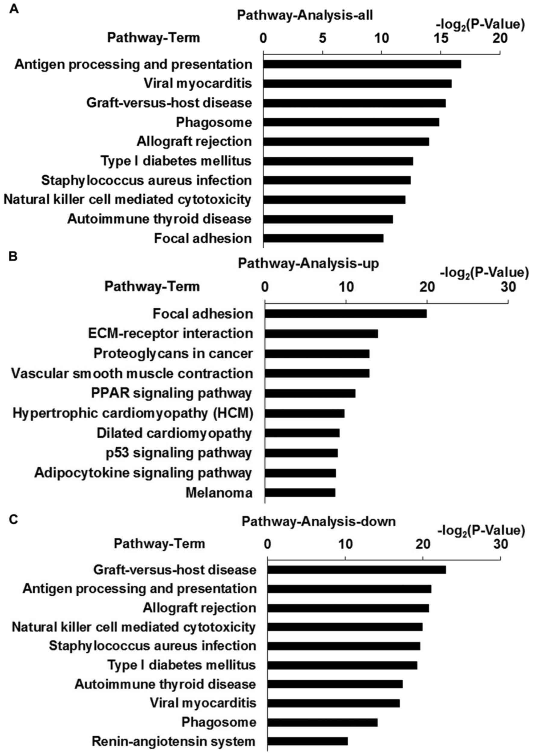 Visceral Adipose Tissue Chart