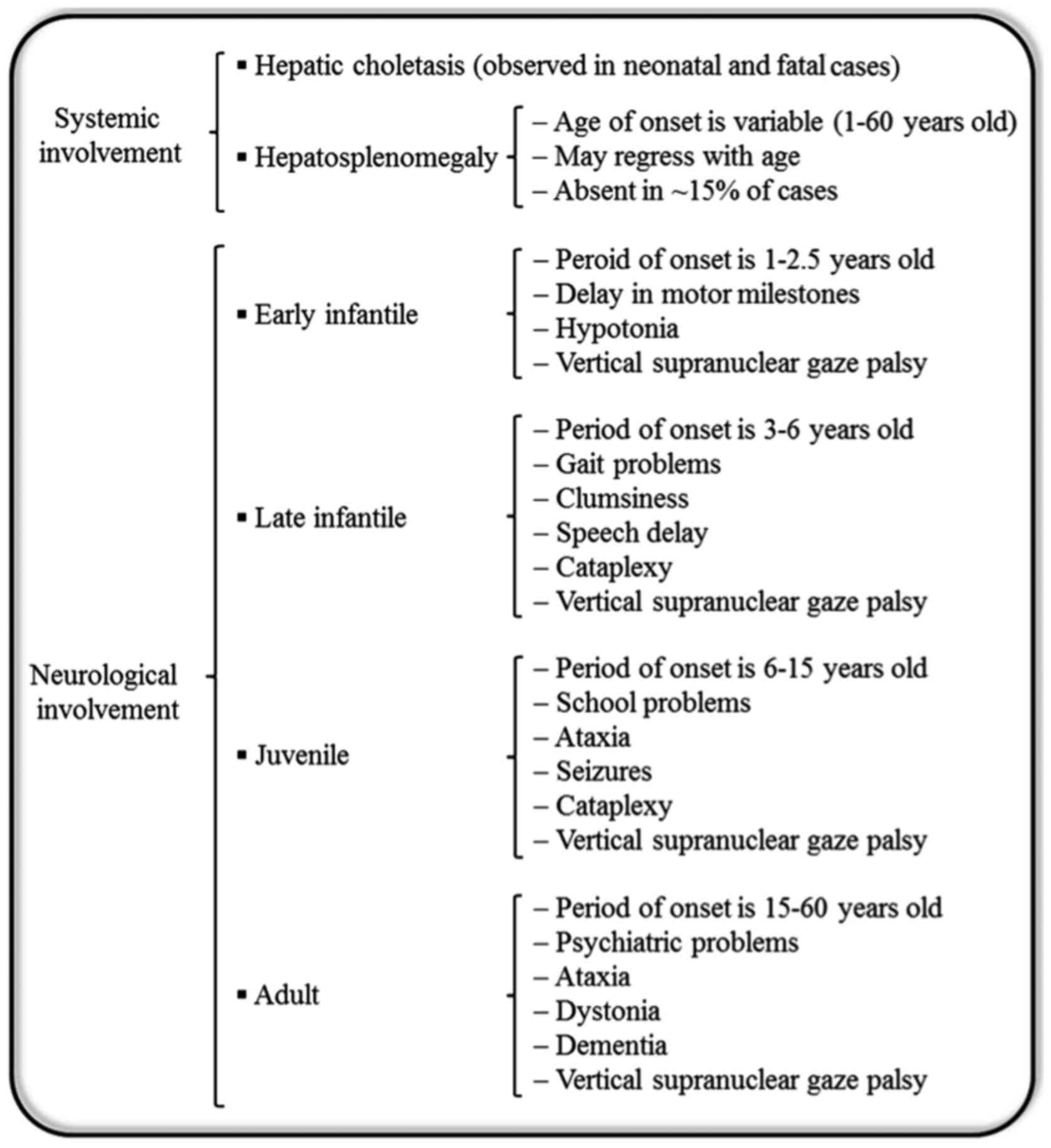 Niemann-Pick disease type C as a neurovisceral disease. Schematic