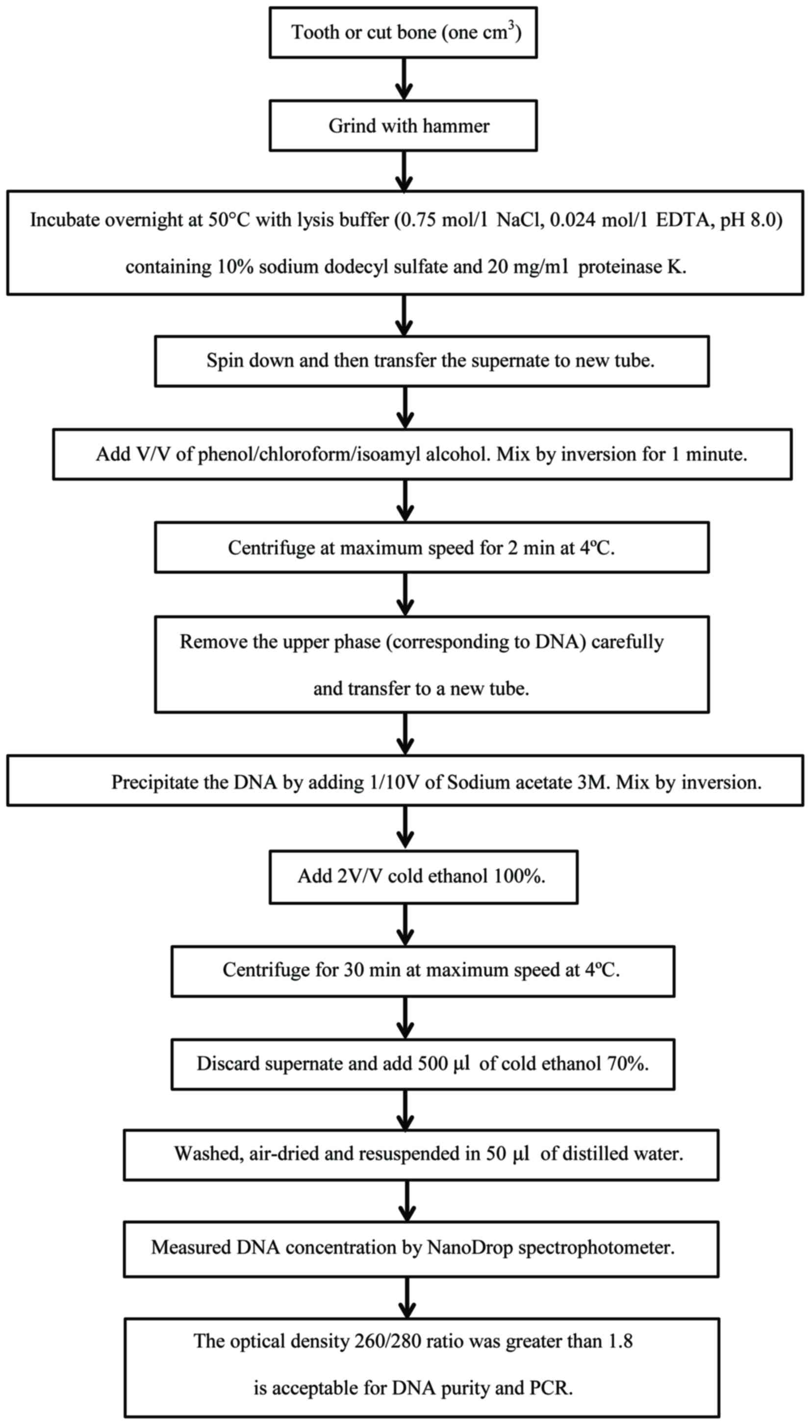 Extraction Adn Phenol Chloroforme Protocole