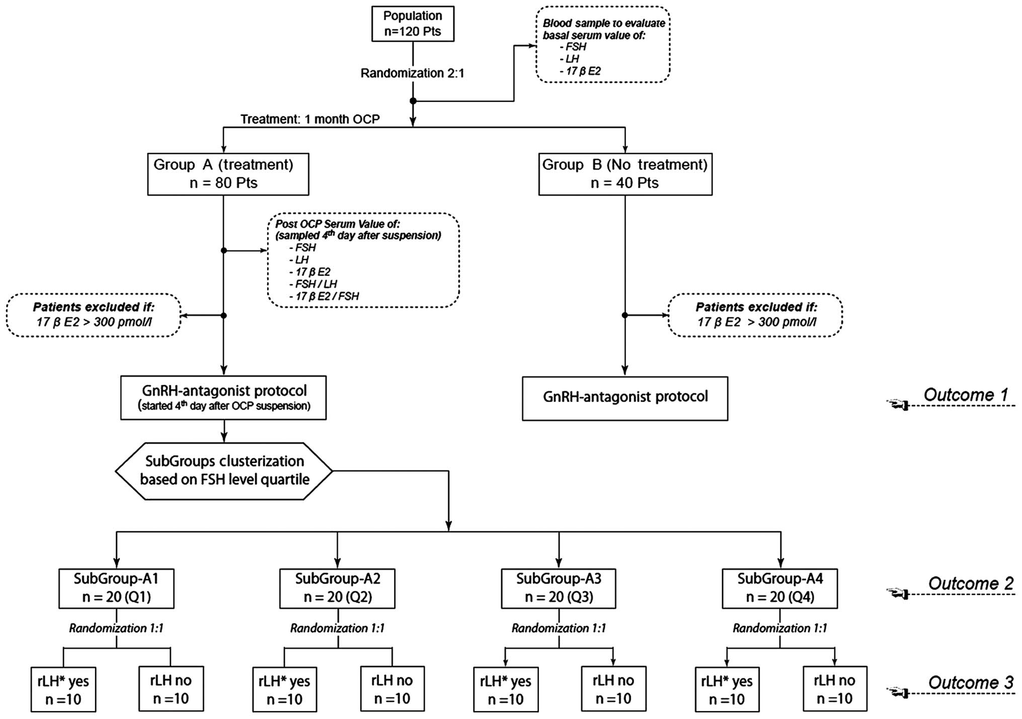 Ovulation Flow Chart