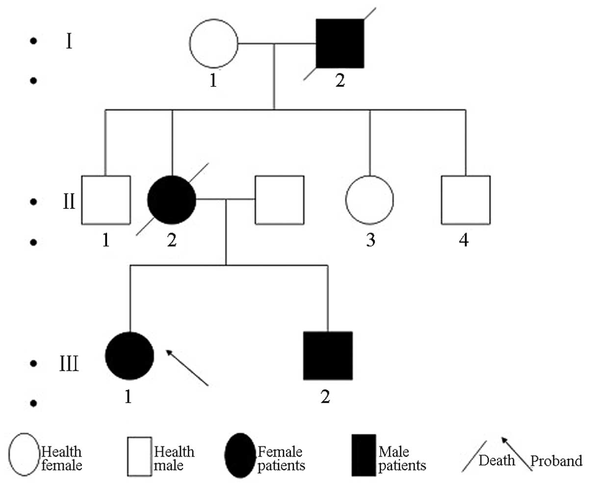 Labeled Pedigree Chart