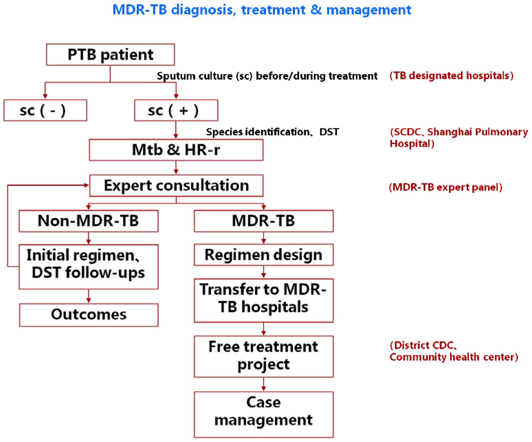 Pathophysiology Of Pulmonary Tuberculosis In Flow Chart