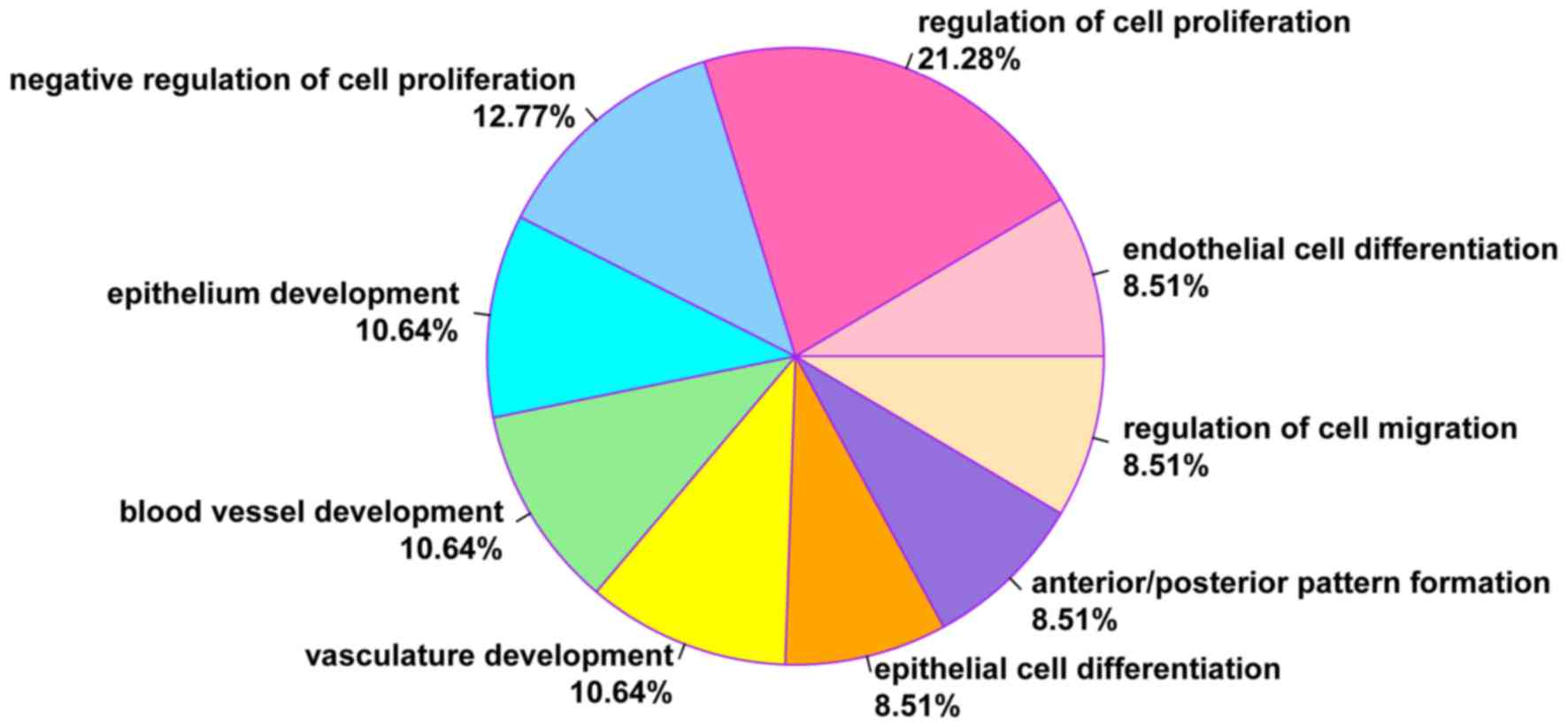 Gene Ontology Pie Chart