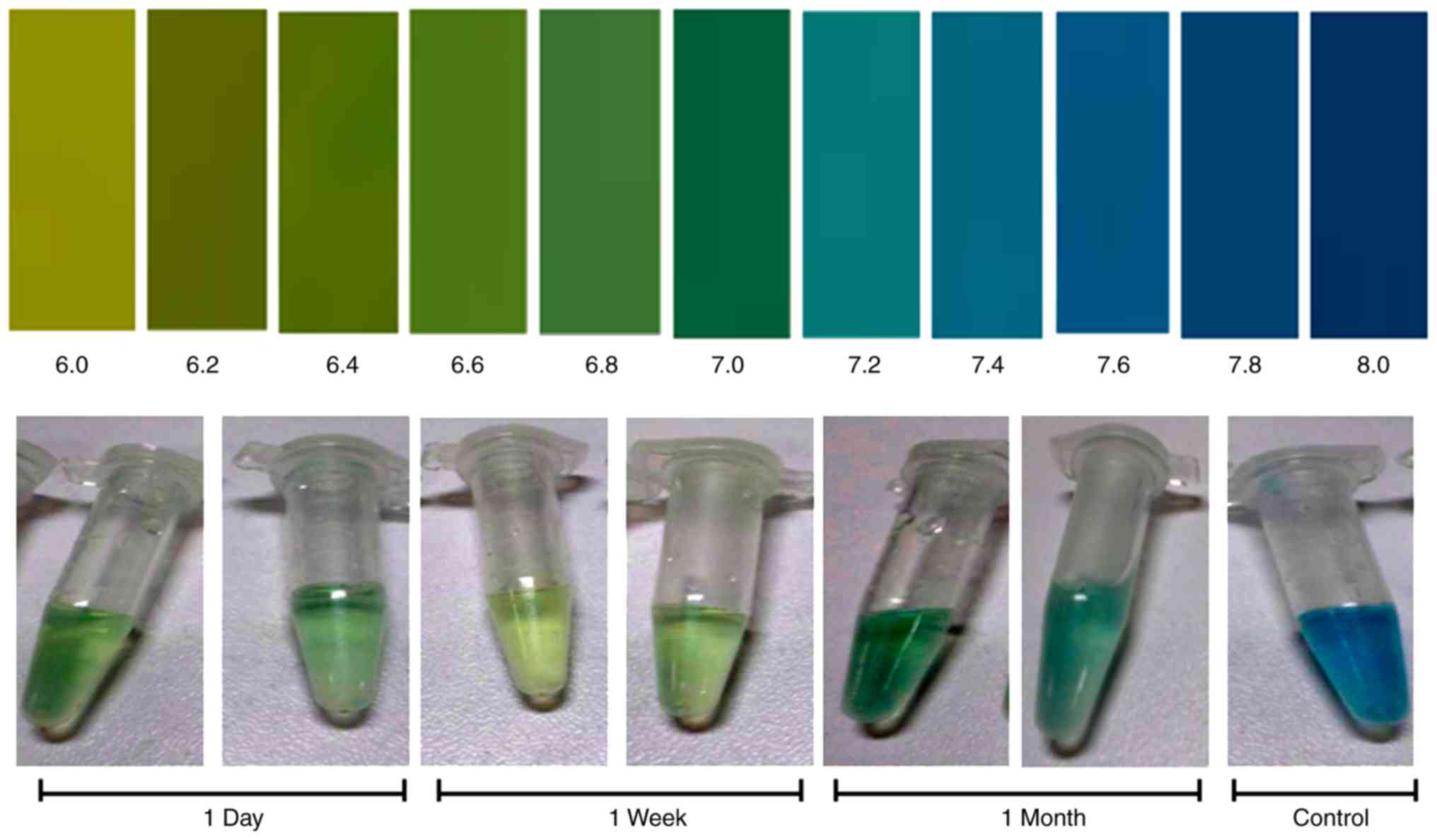 Bromothymol Blue Ph Color Chart