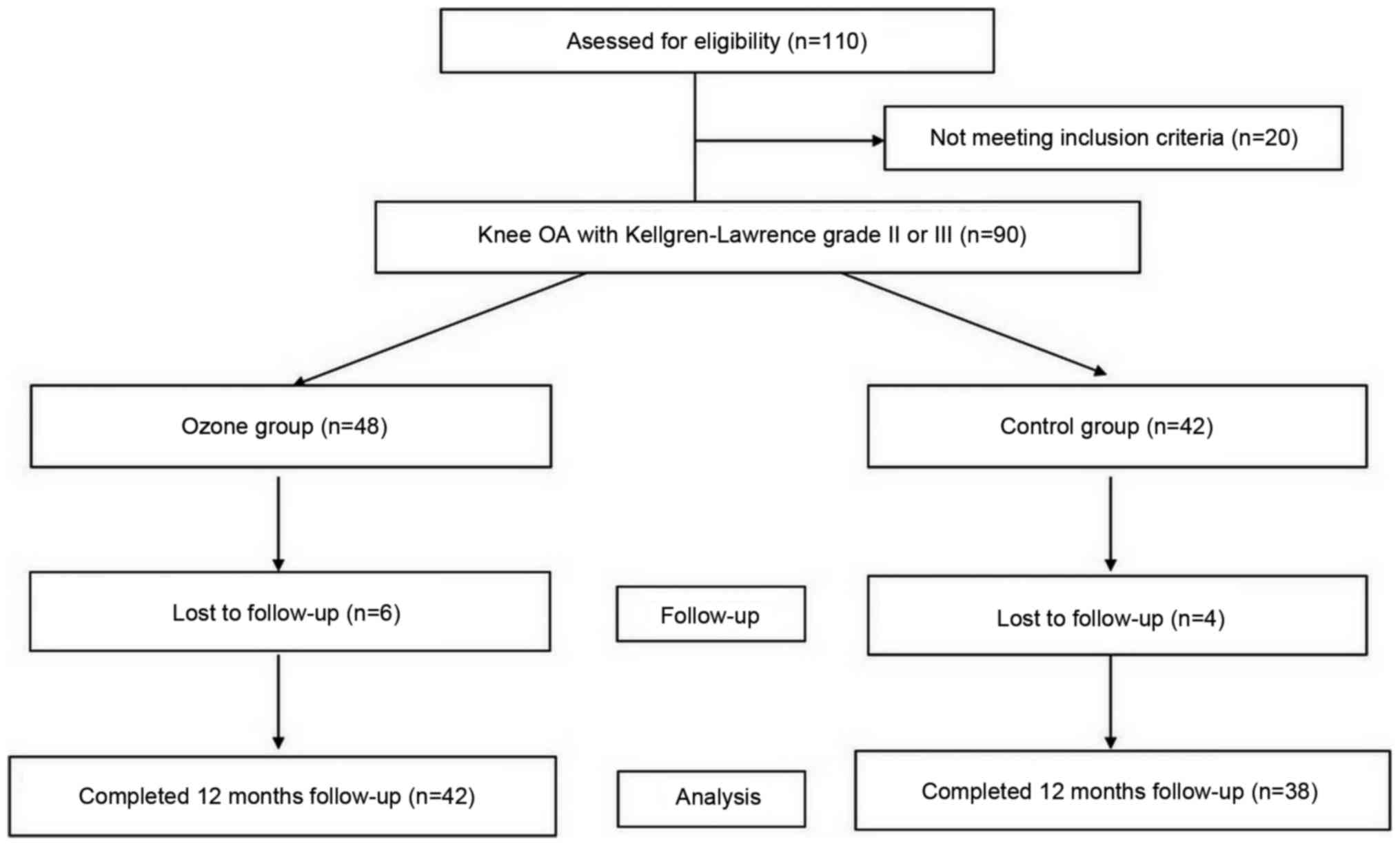 Pathophysiology Of Osteoarthritis In Flow Chart