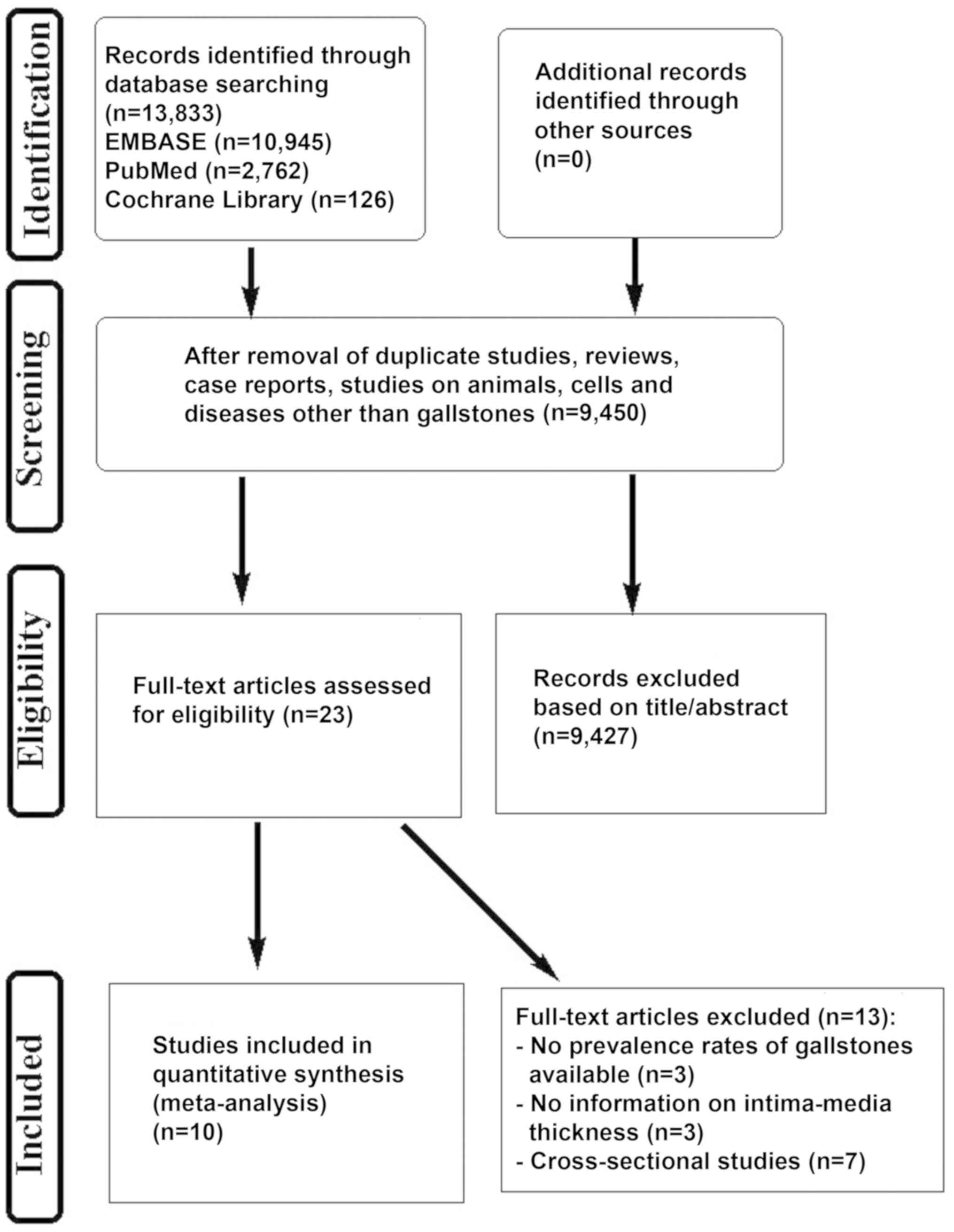 Pathophysiology Of Cholelithiasis In Flow Chart