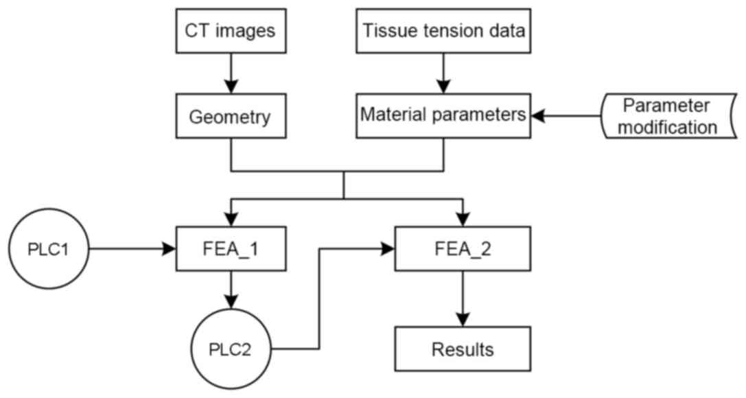 Flow Chart Of Csf Circulation