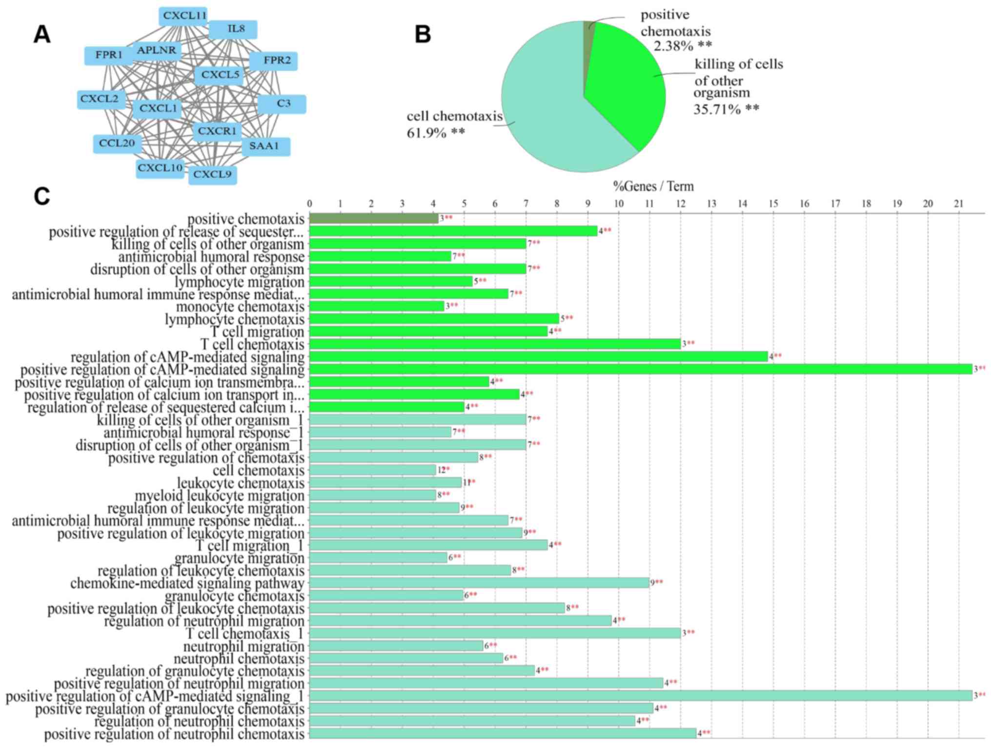 Ulcerative Colitis Vs Crohn S Disease Chart