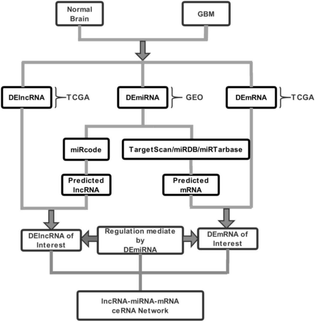 Competing Pathways Chart