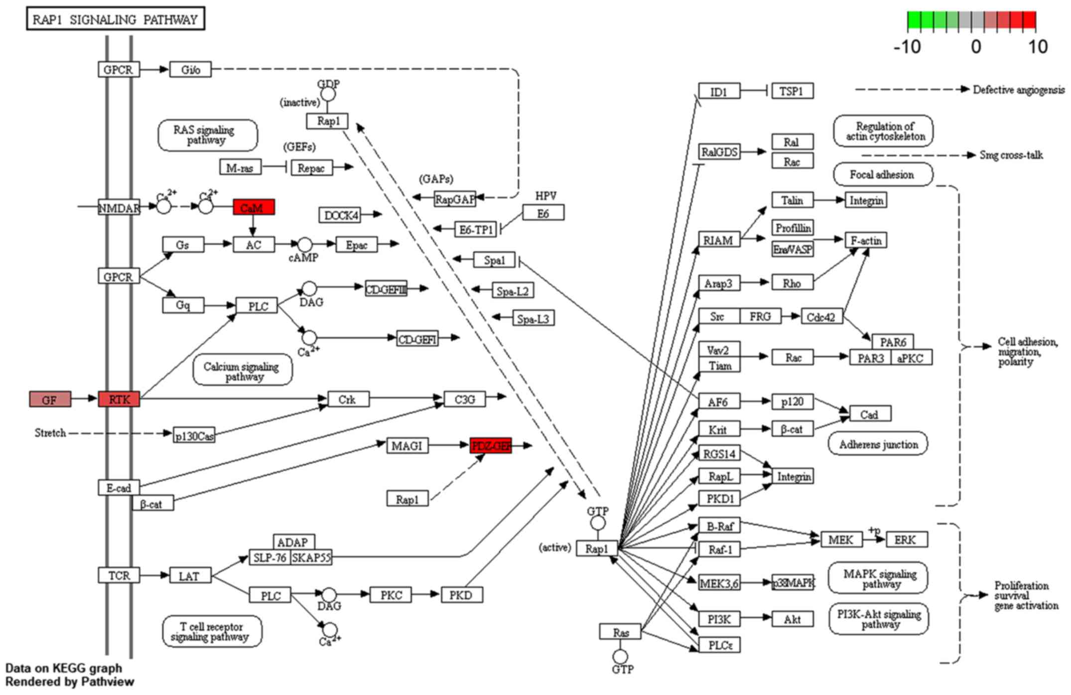 Competing Pathways Chart