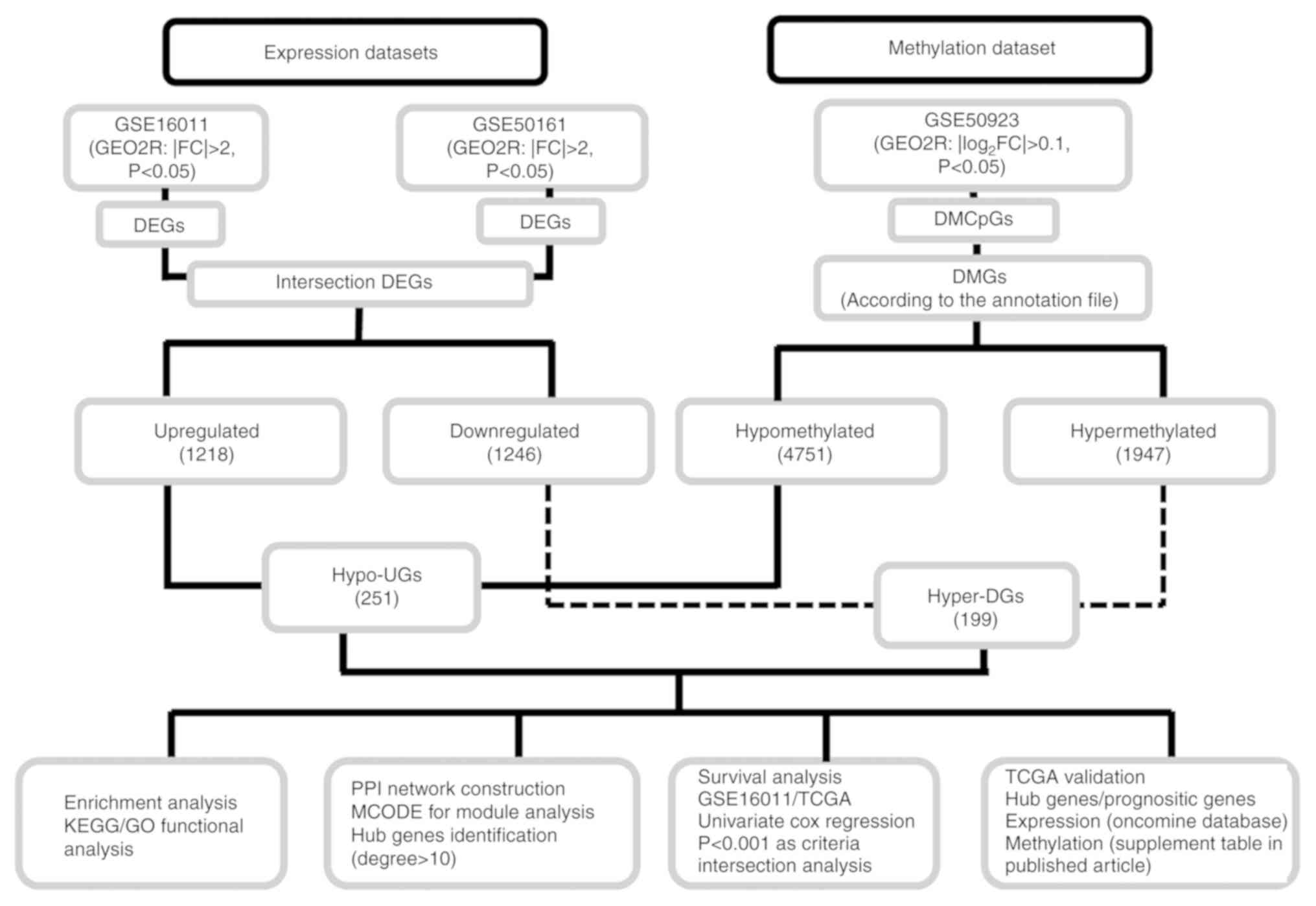 Methylation Pathway Chart