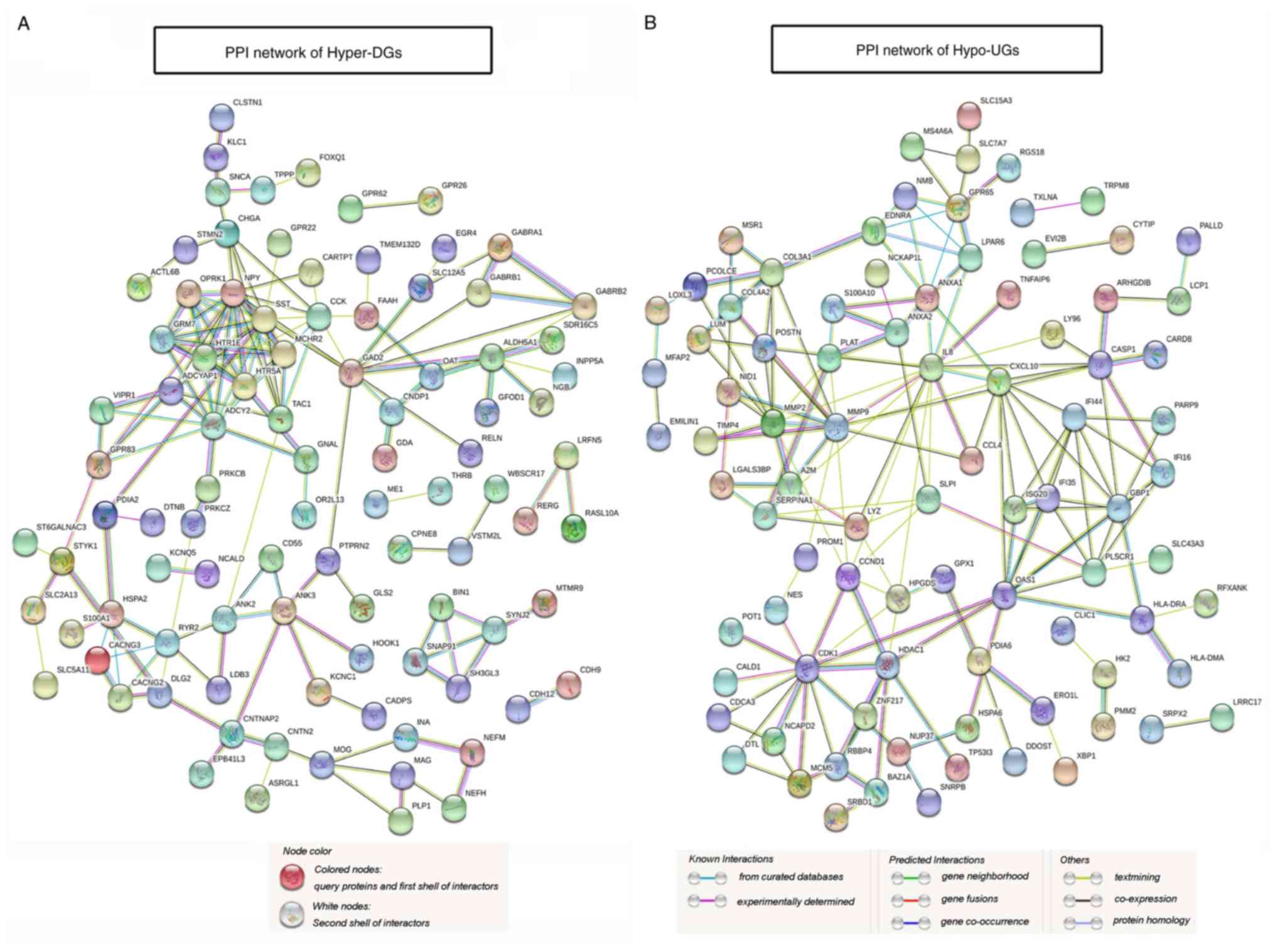 Methylation Pathway Chart