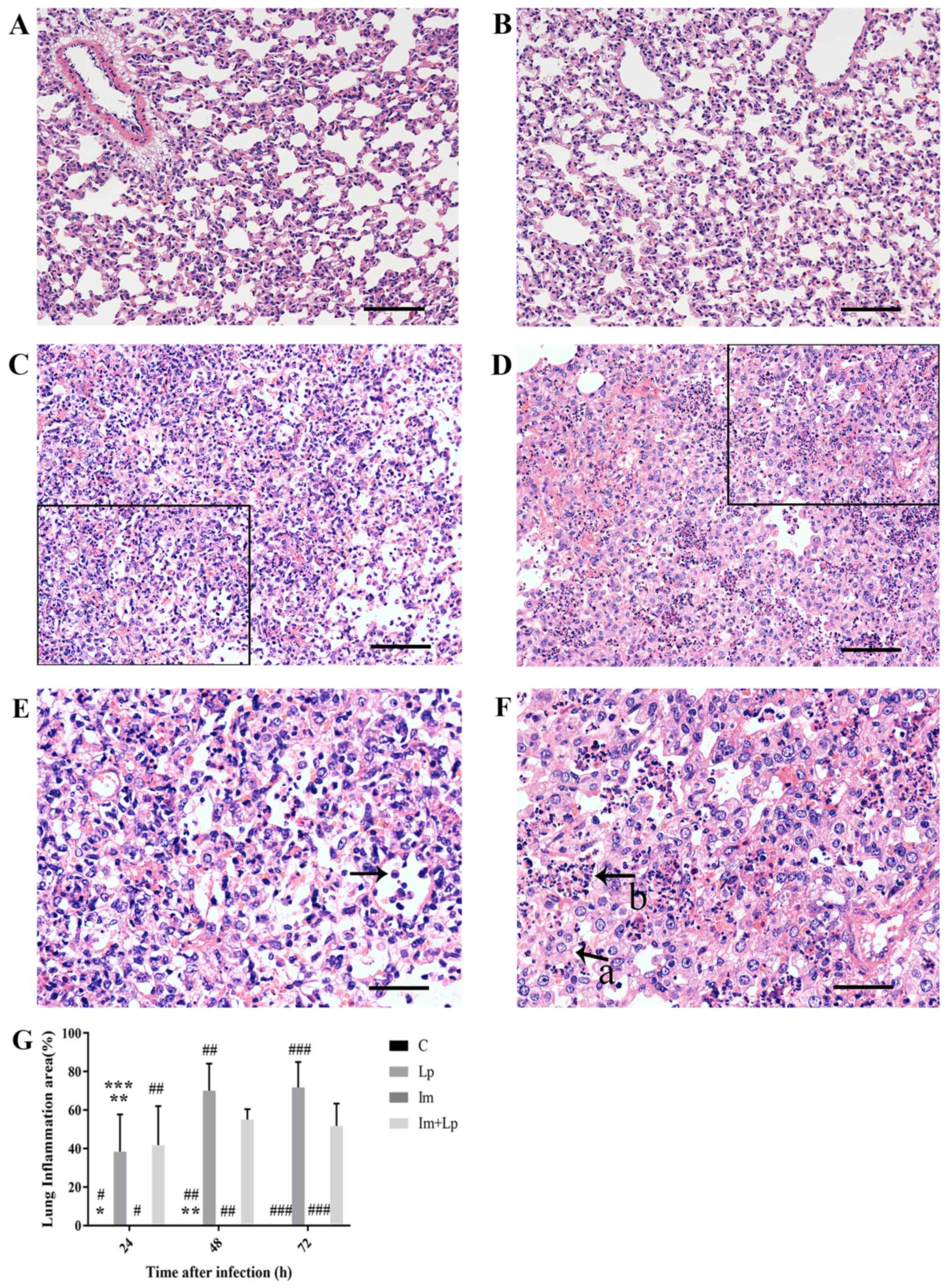 Frontiers  C500 variants conveying complete mucosal immunity