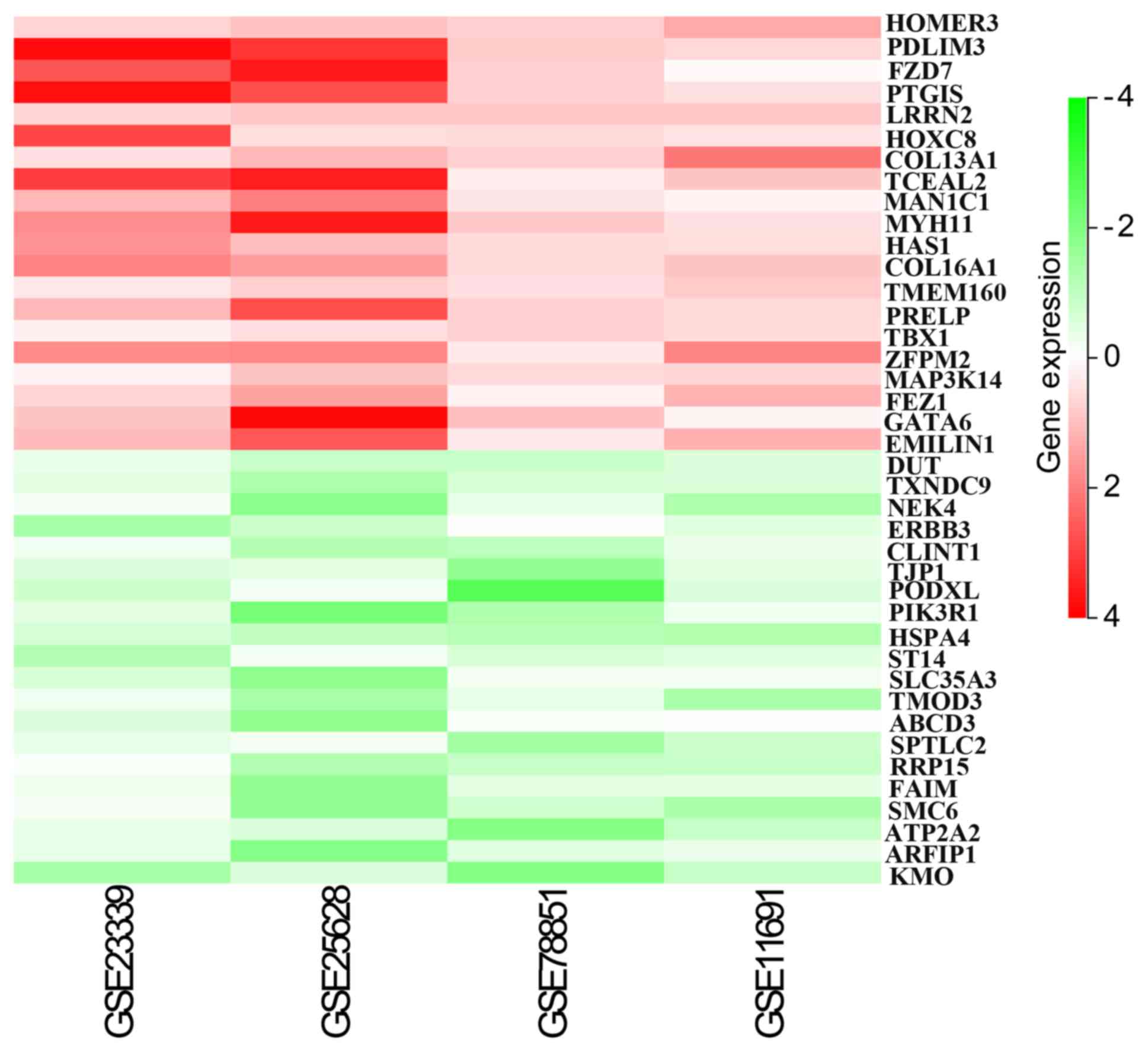 Identification Of Differentially Expressed Genes And Signaling