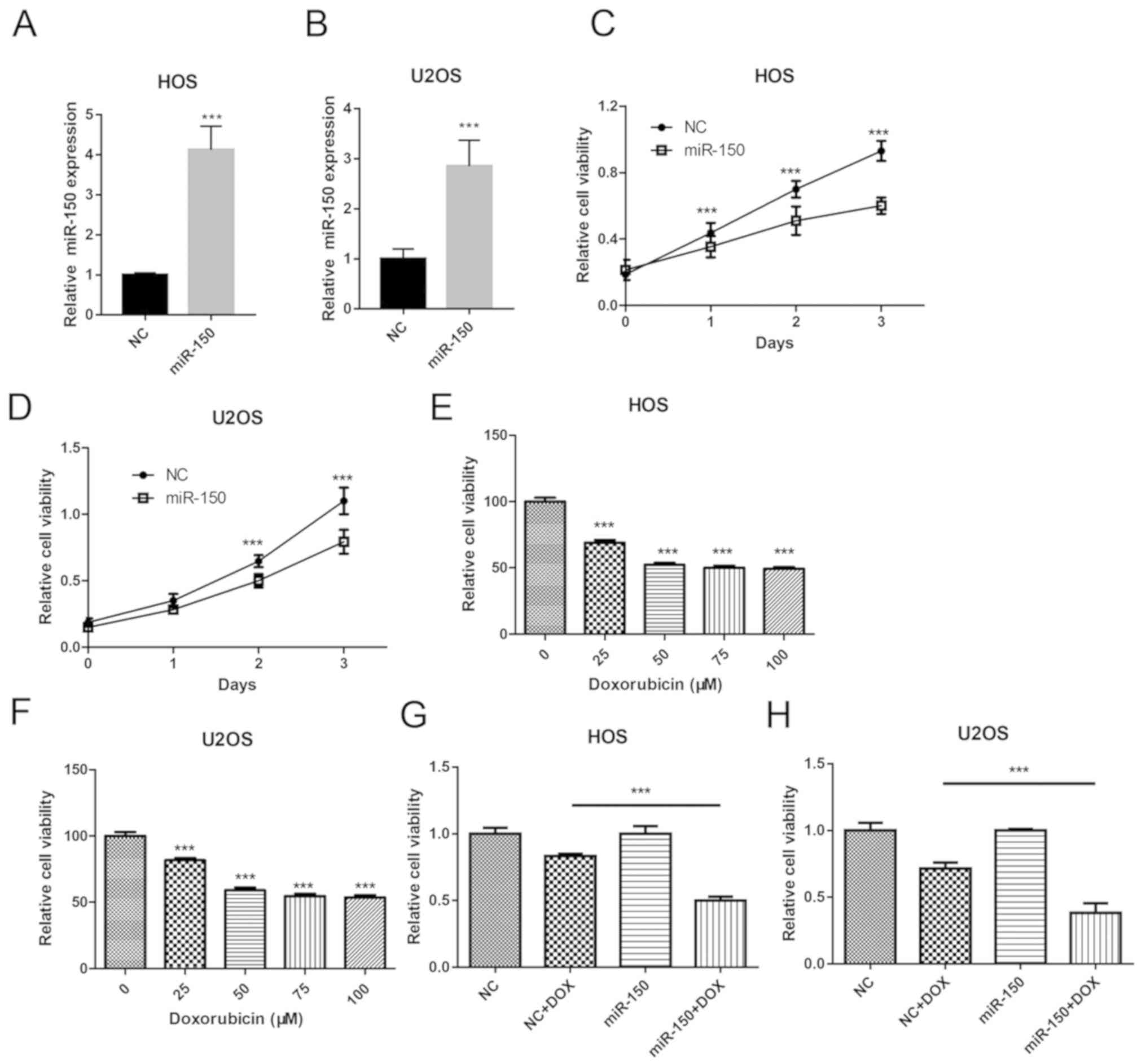 Microrna‑150 Functions As A Tumor Suppressor And Sensitizes Osteosarcoma To Doxorubicin‑induced