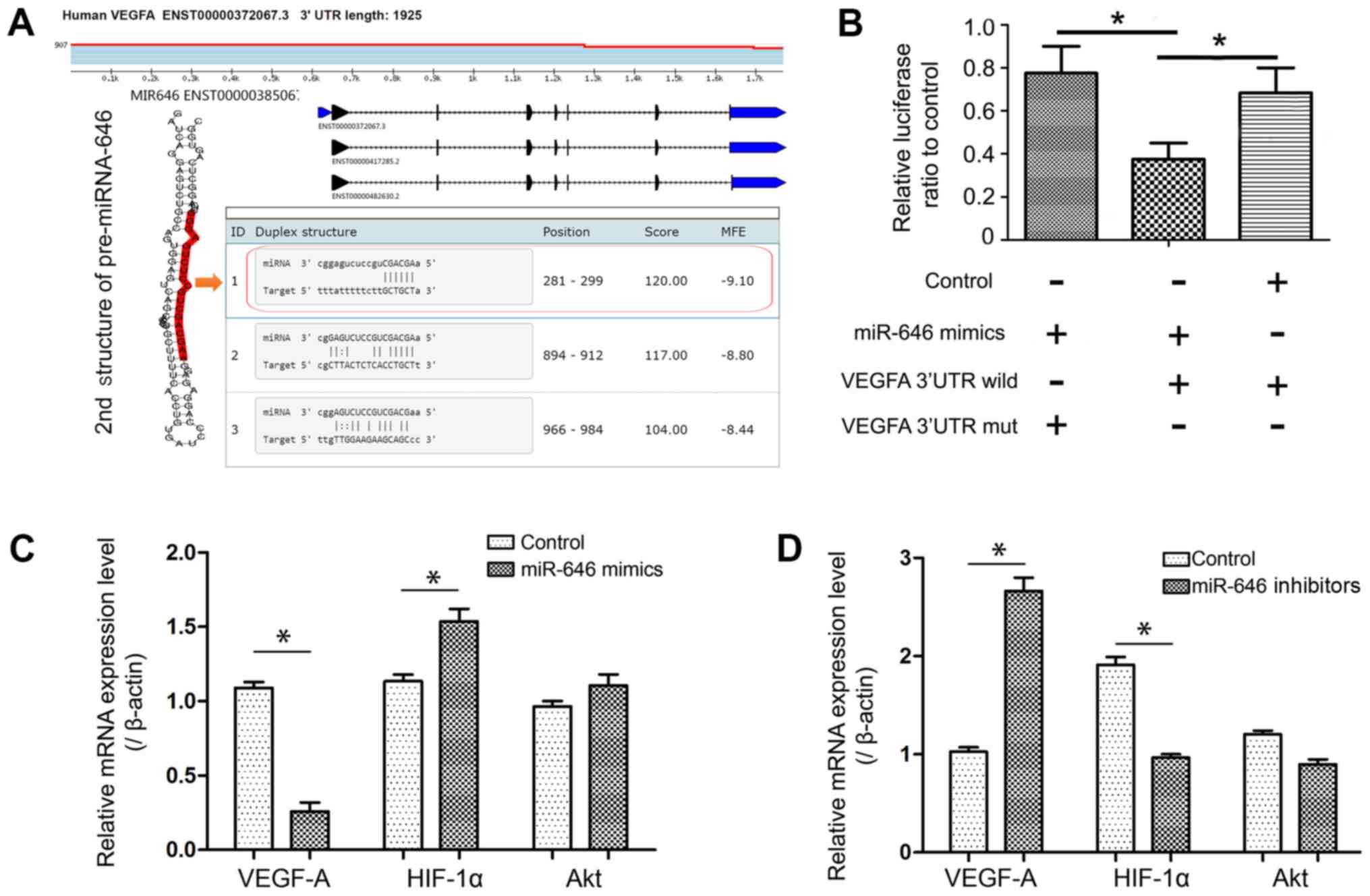 PDF) Abstract A74: Microparticles mediate cross-talk between tumoral and  endothelial cells and promote the constitution of an angiocrine  pro-metastatic niche through Arf6 up regulation