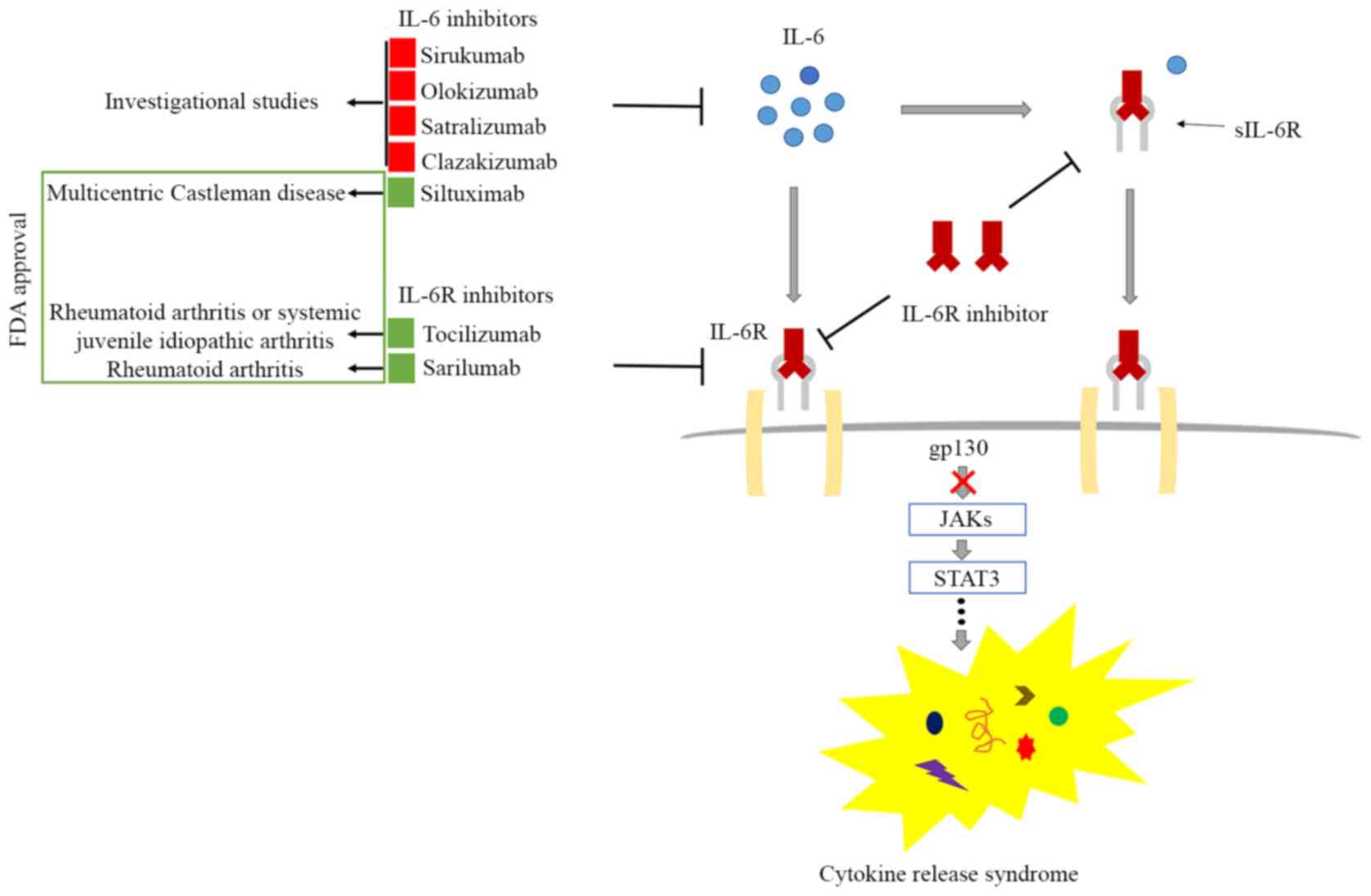 Interleukin‑6 Signaling Blockade Treatment For Cytokine Release