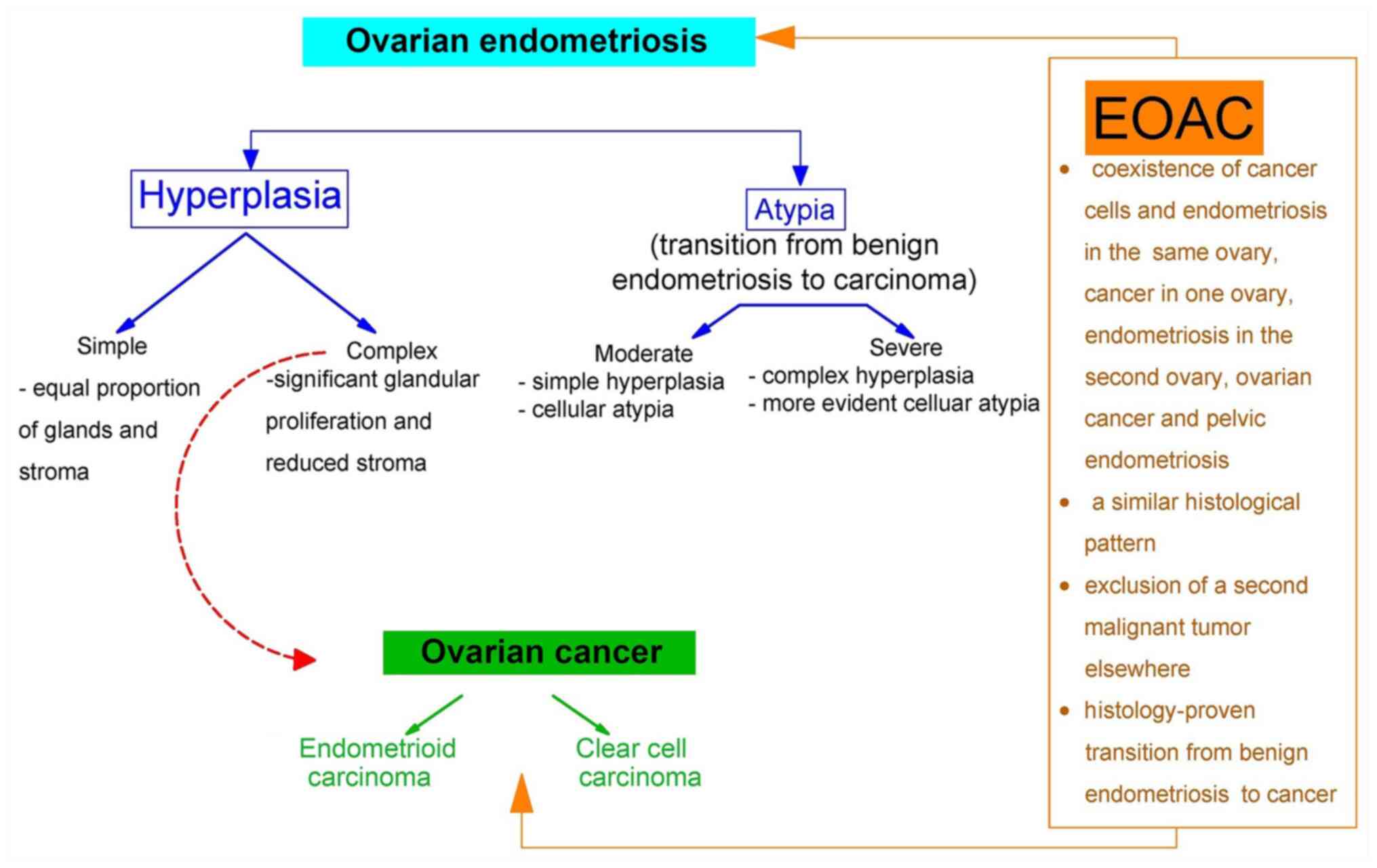 cancer ovarian endometriosis