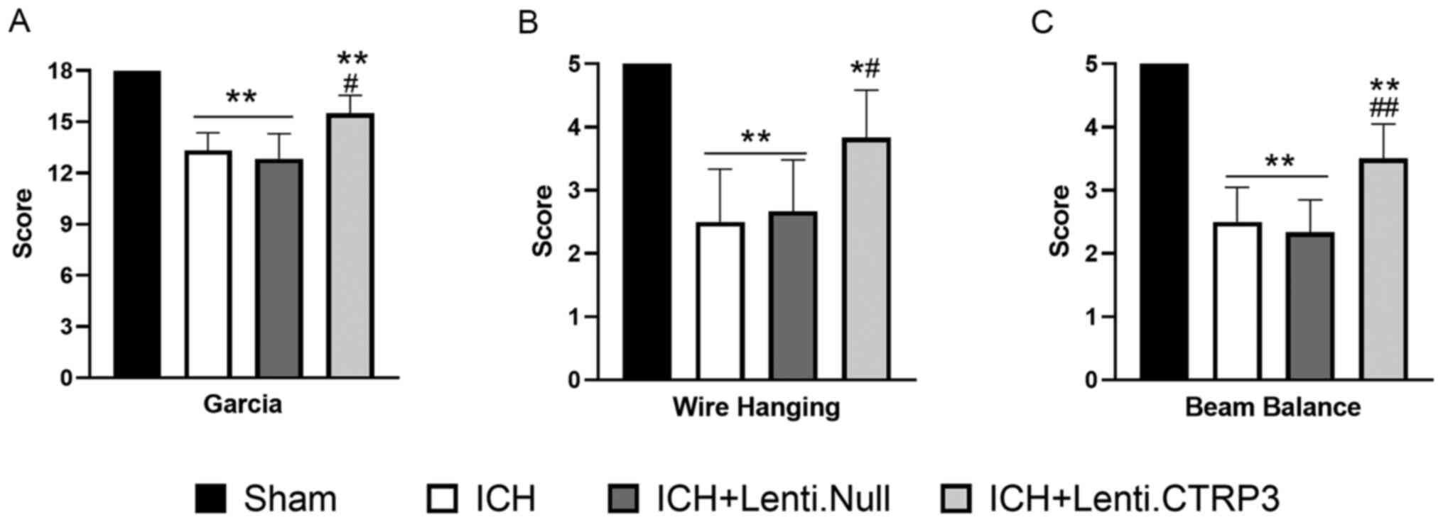 Wire Hang Test  Behavioral and Functional Neuroscience Laboratory