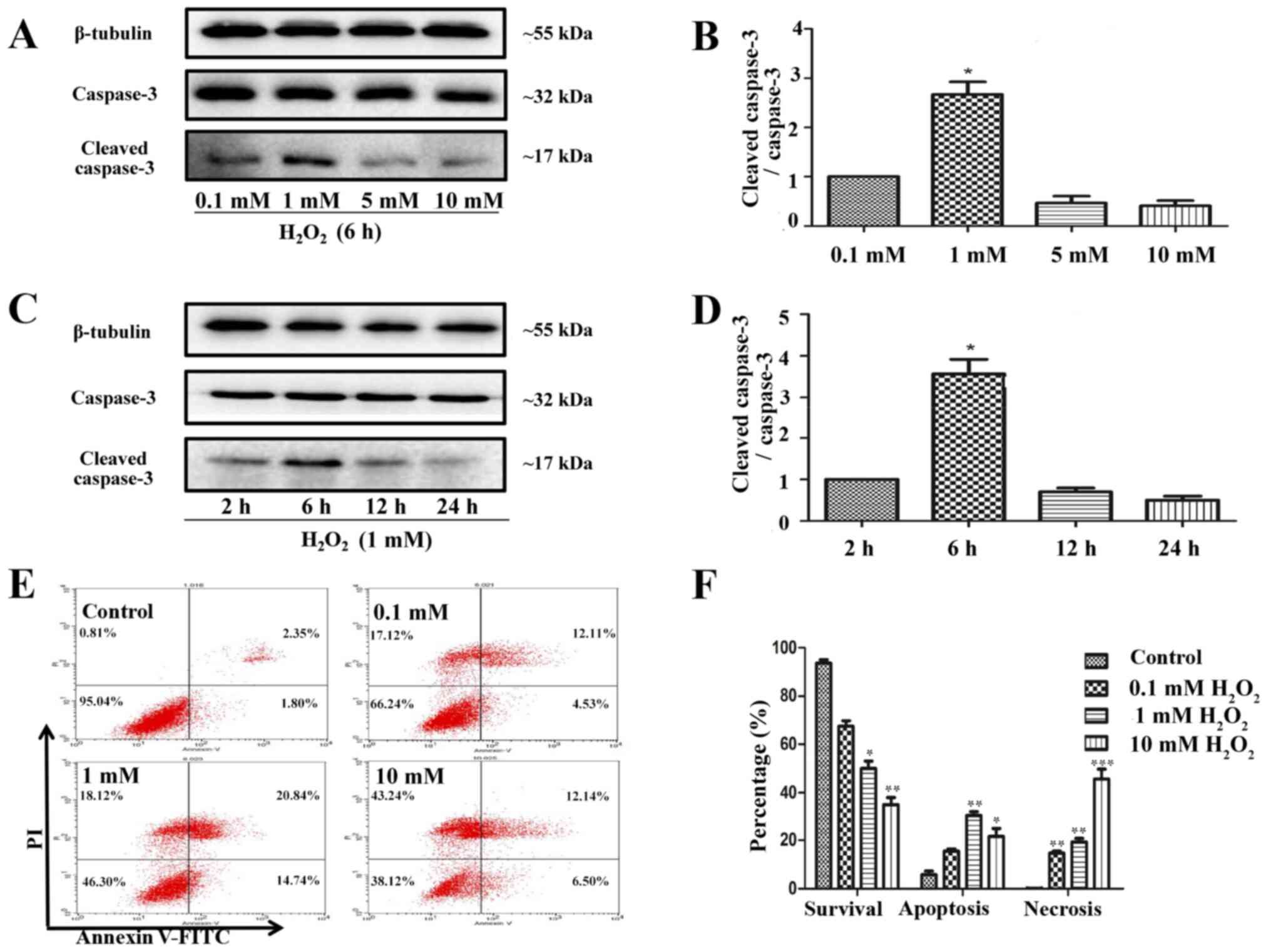 Knockout of miR-144/451 cluster aggravated neurological function and