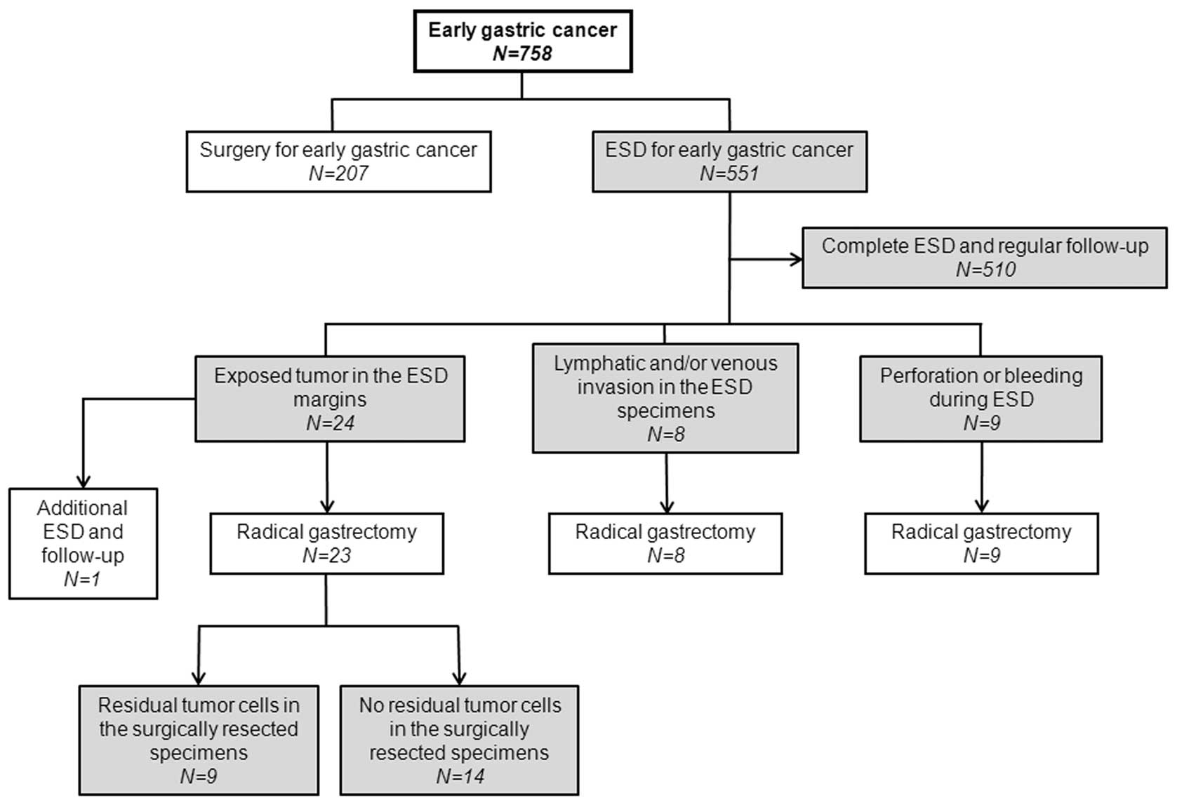 Pathophysiology Of Stomach Cancer In Flow Chart