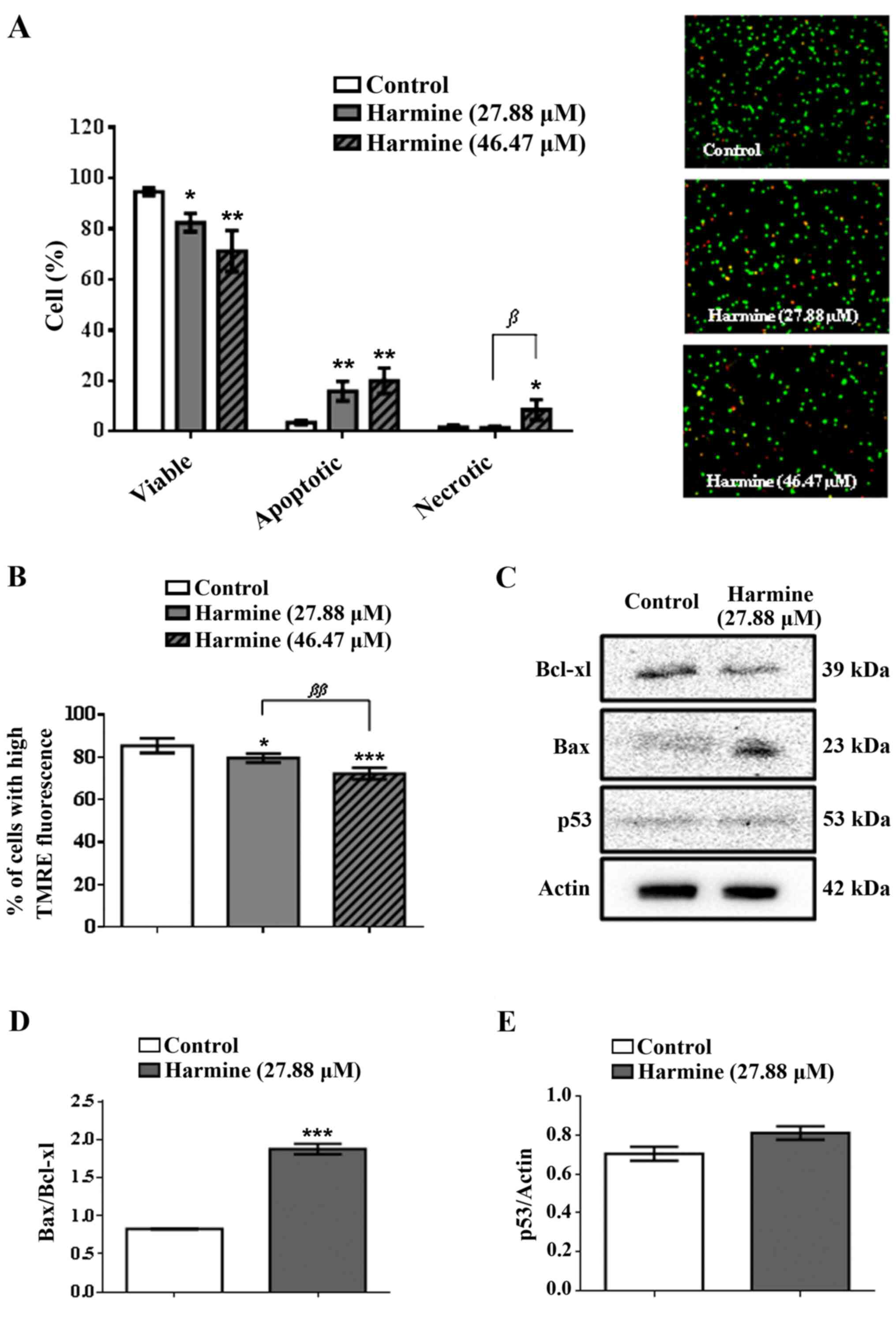 B Carboline Alkaloid Harmine Induces Dna Damage And Triggers Apoptosis By A Mitochondrial Pathway Study In Silico In Vitro And In Vivo