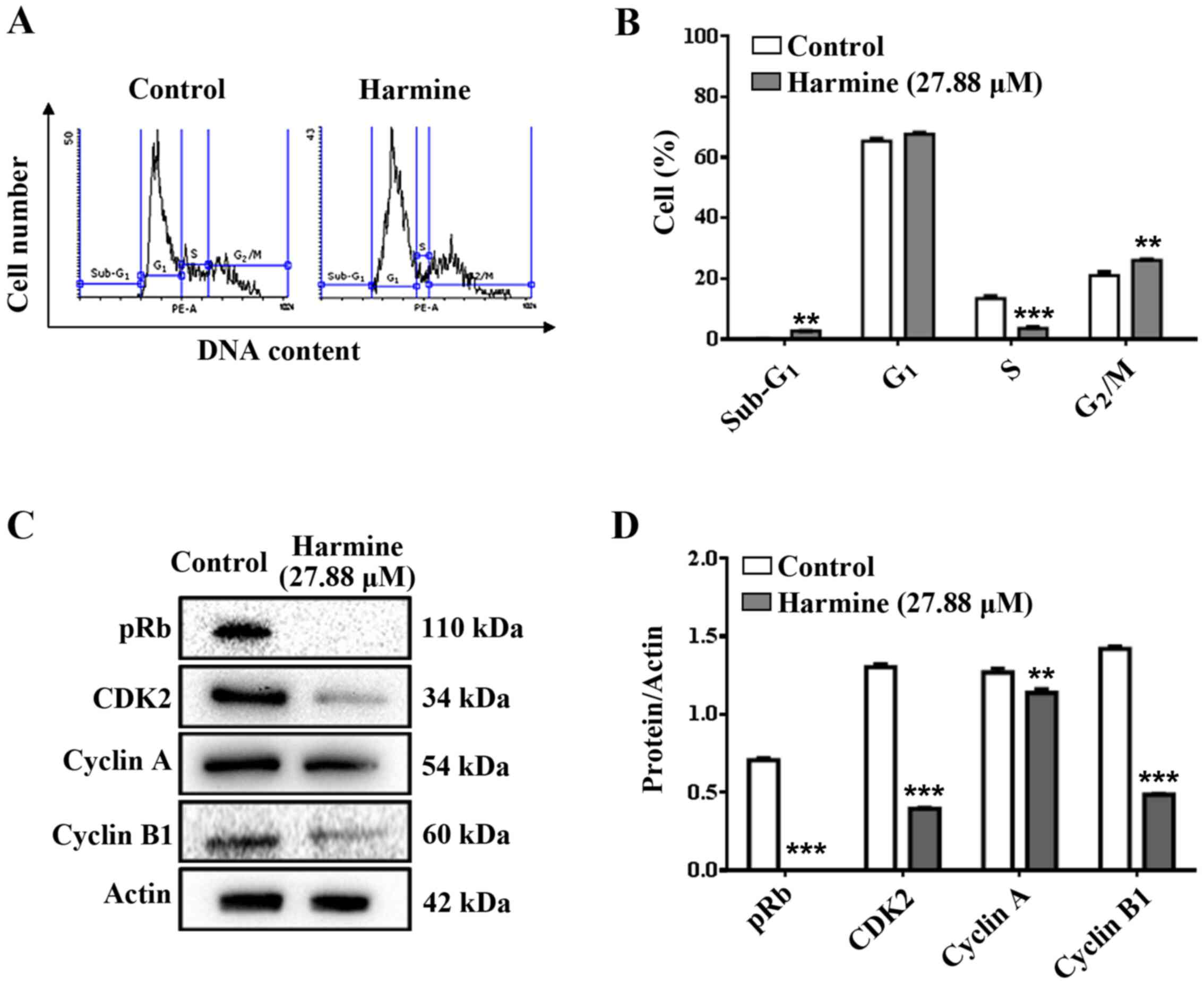 B Carboline Alkaloid Harmine Induces Dna Damage And Triggers Apoptosis By A Mitochondrial Pathway Study In Silico In Vitro And In Vivo