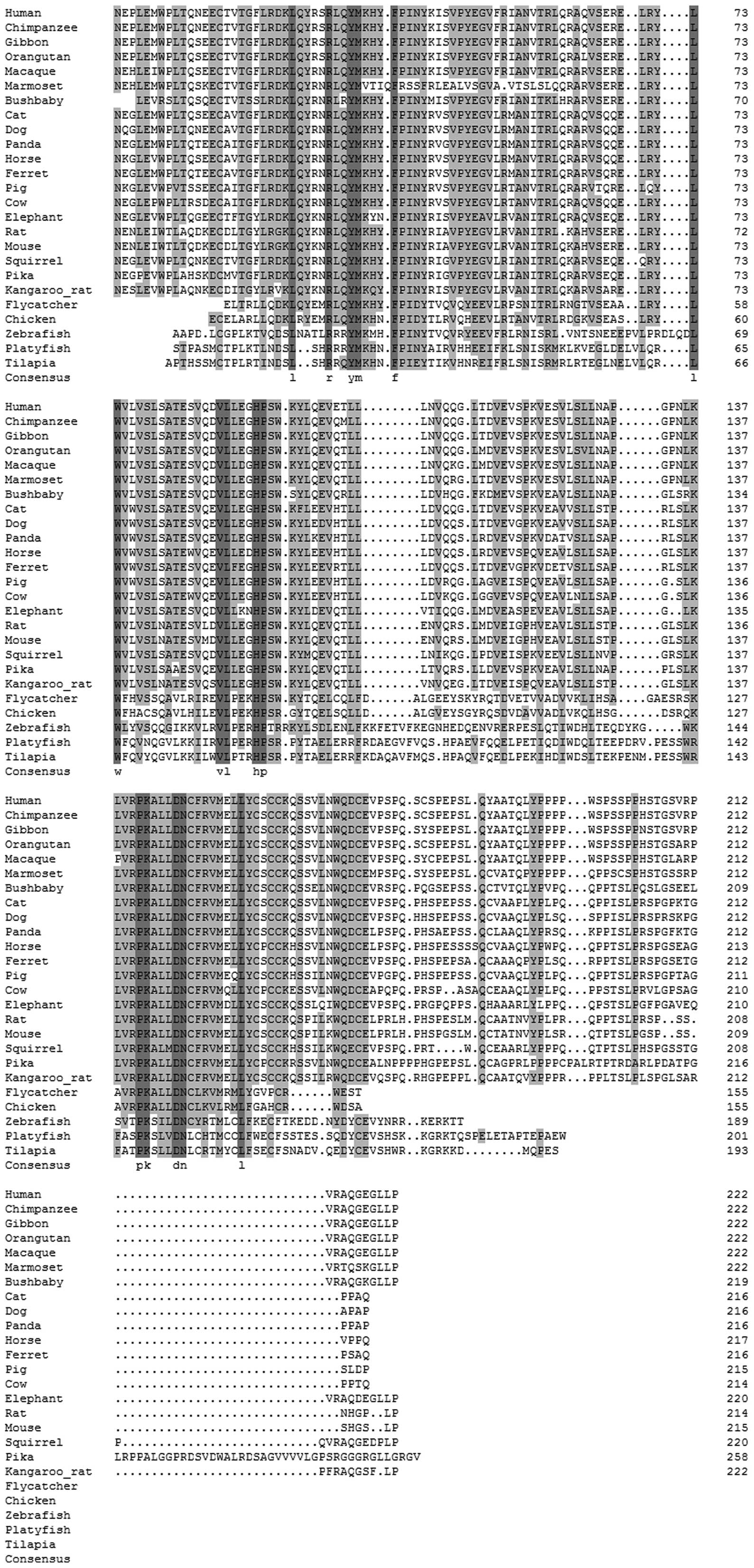 mechanisms of radiation effects in the