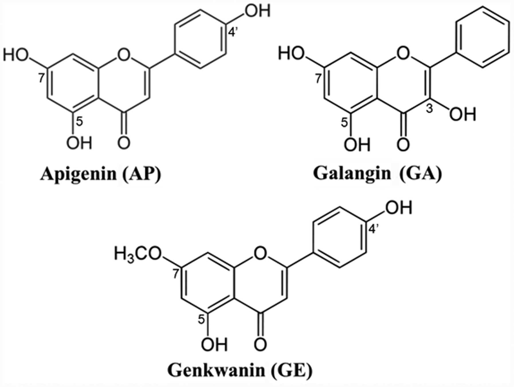 Гелалгин. Апигенин. Апигенин структура. Химическая структура апигенин. Апигенин-7-глюкозид.