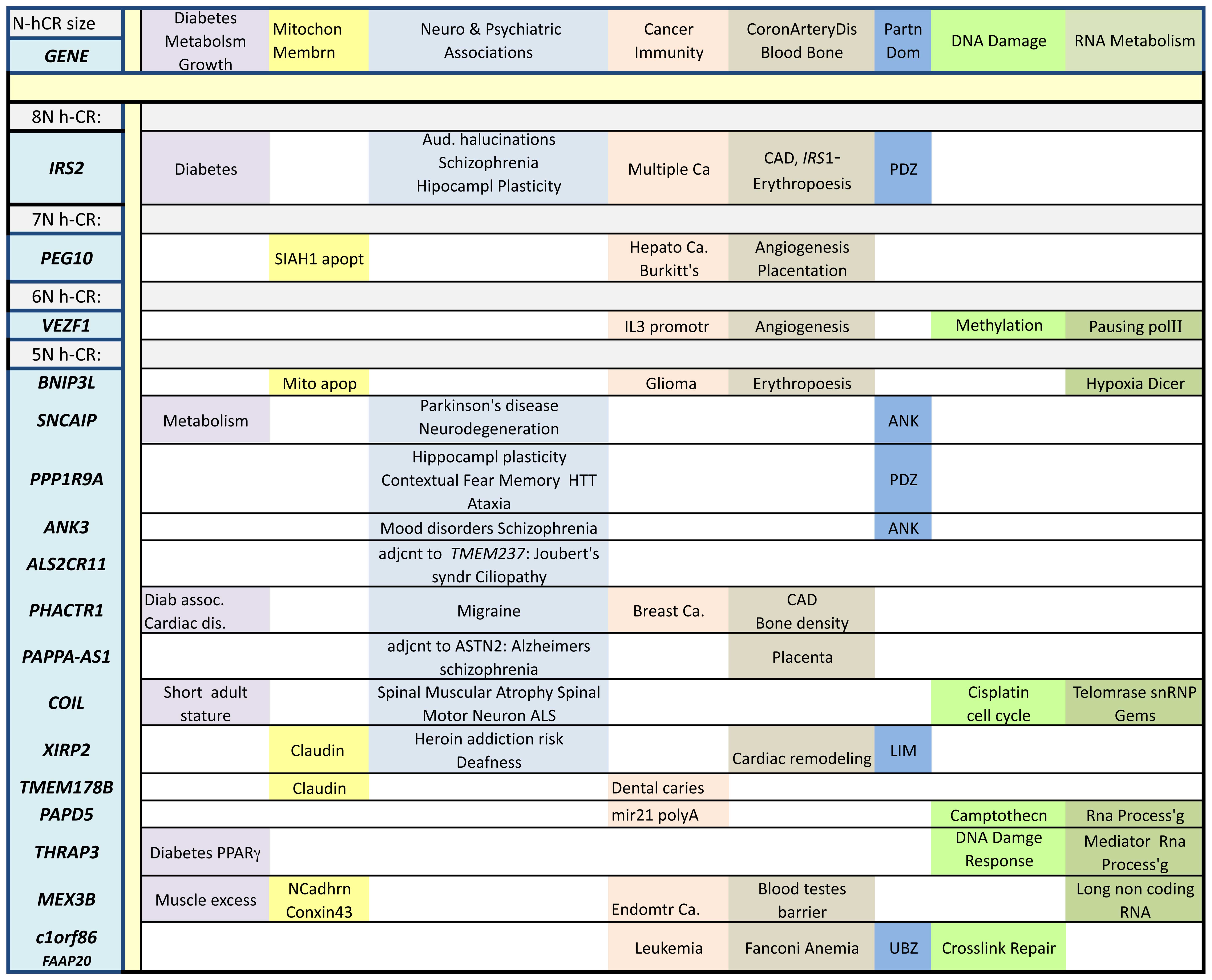 MondoCon 4 Programming: Panels, Screenings & Food!