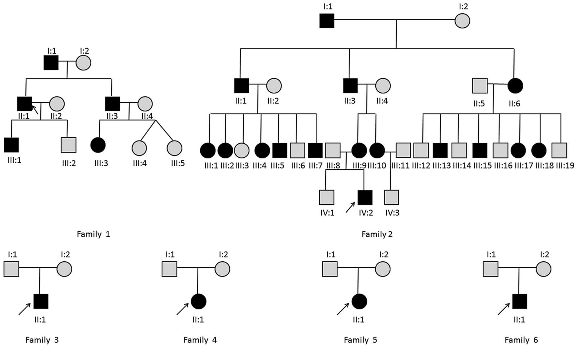 Diabetes Pedigree Chart