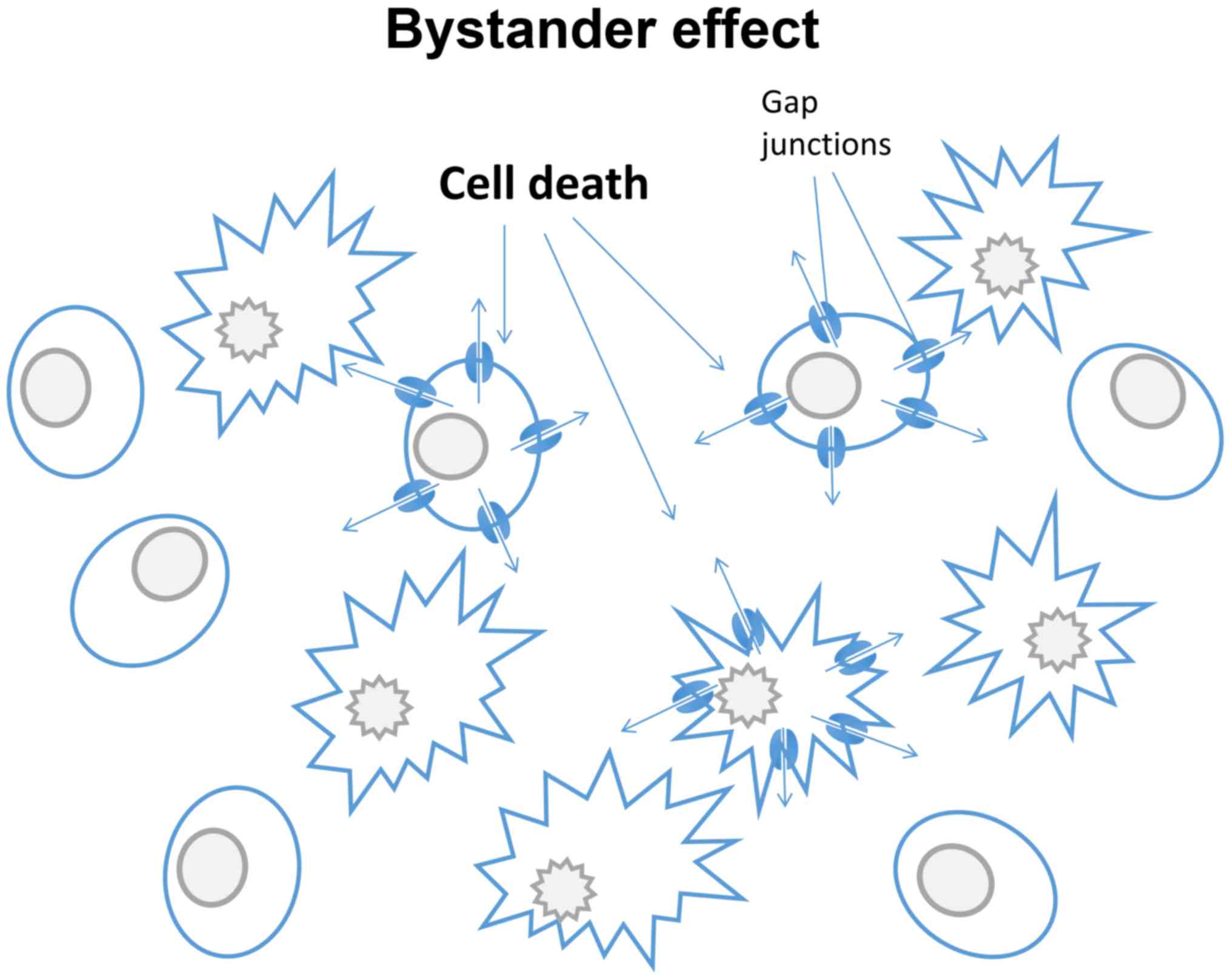 Cell effect. Bystander Effect.