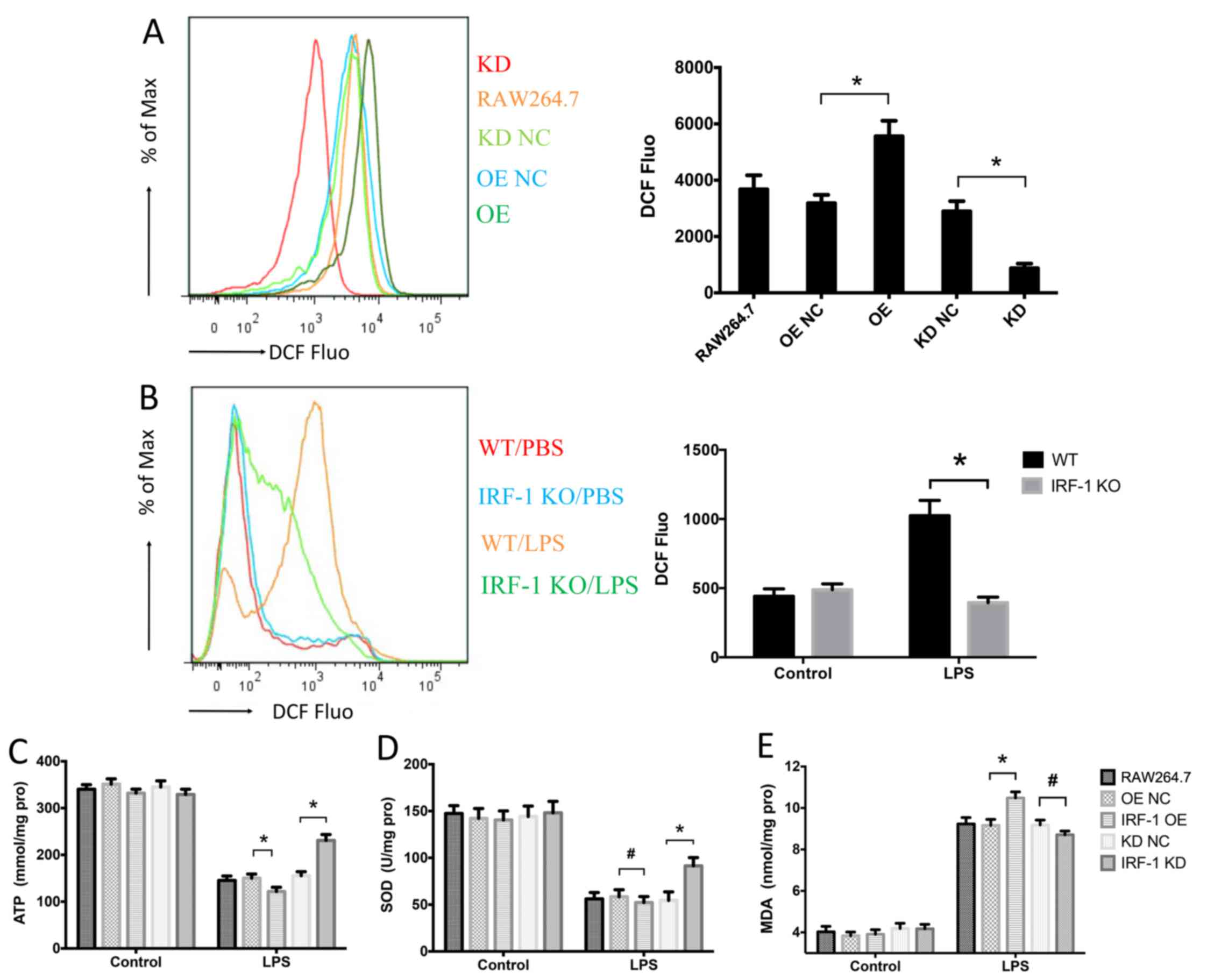 Mitochondrial DNA and TLR9 activation contribute to SARS-CoV-2-induced  endothelial cell damage. - Abstract - Europe PMC