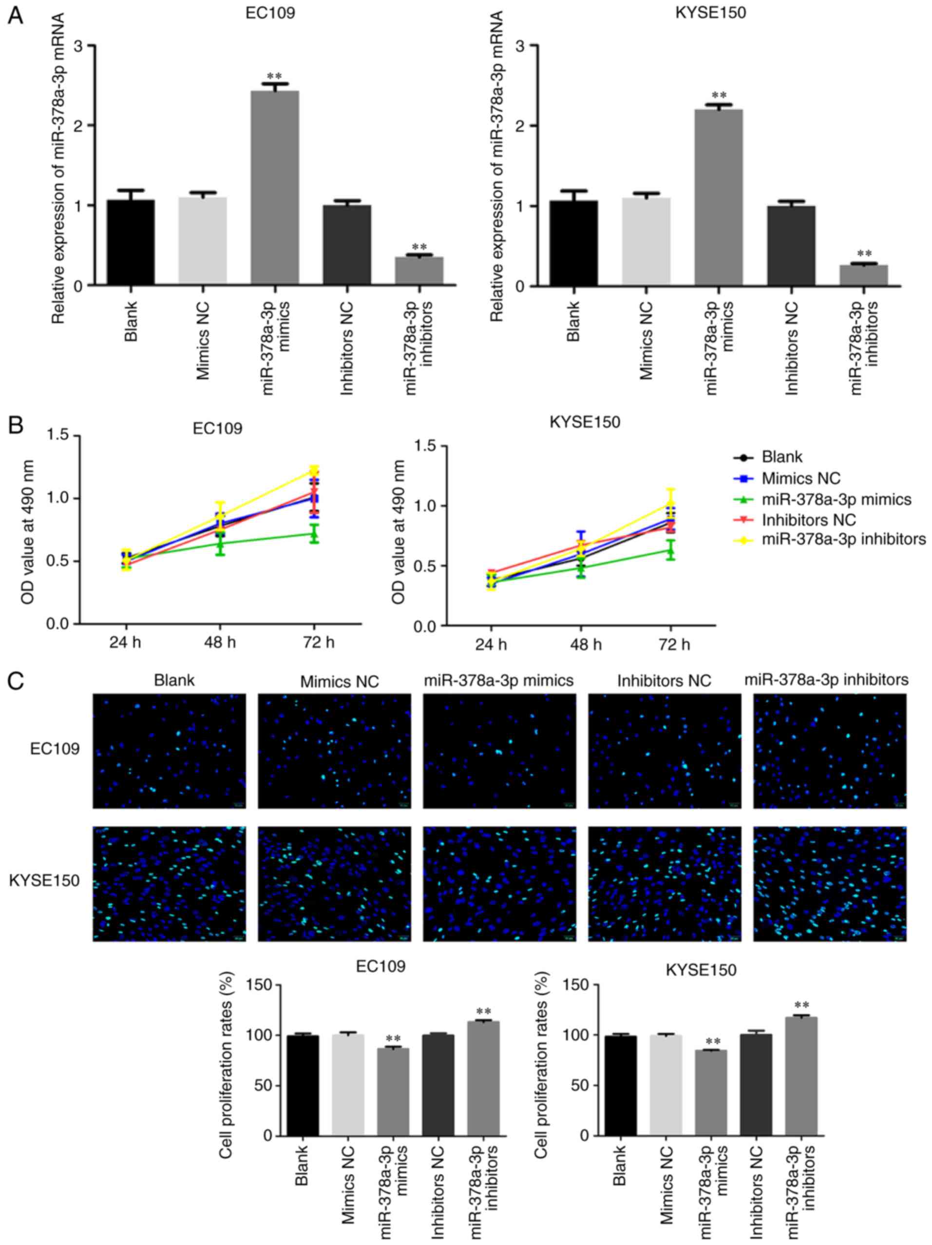 Mir‑378a‑3p Exerts Tumor Suppressive Function On The Tumorigenesis Of