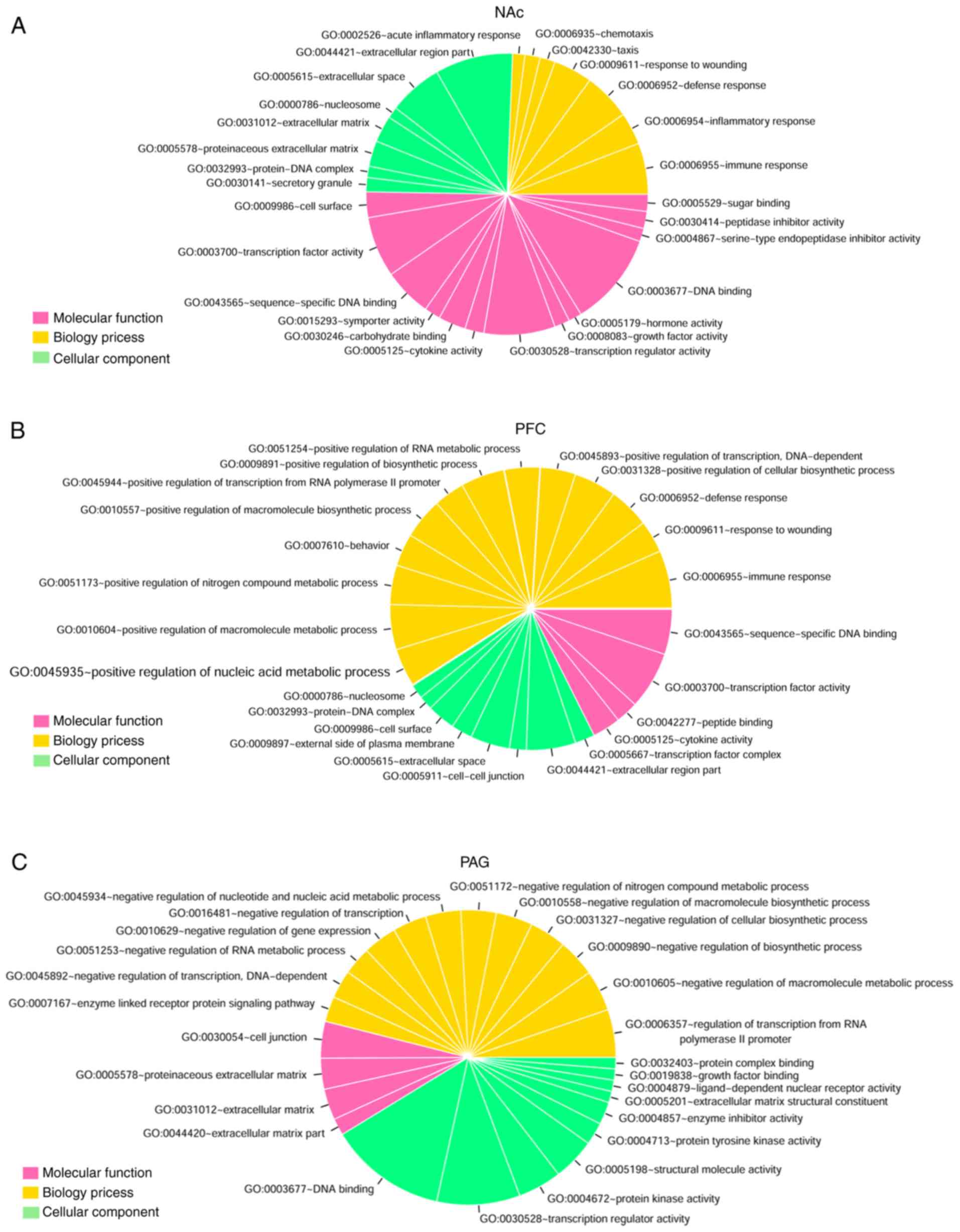 Gene Ontology Pie Chart