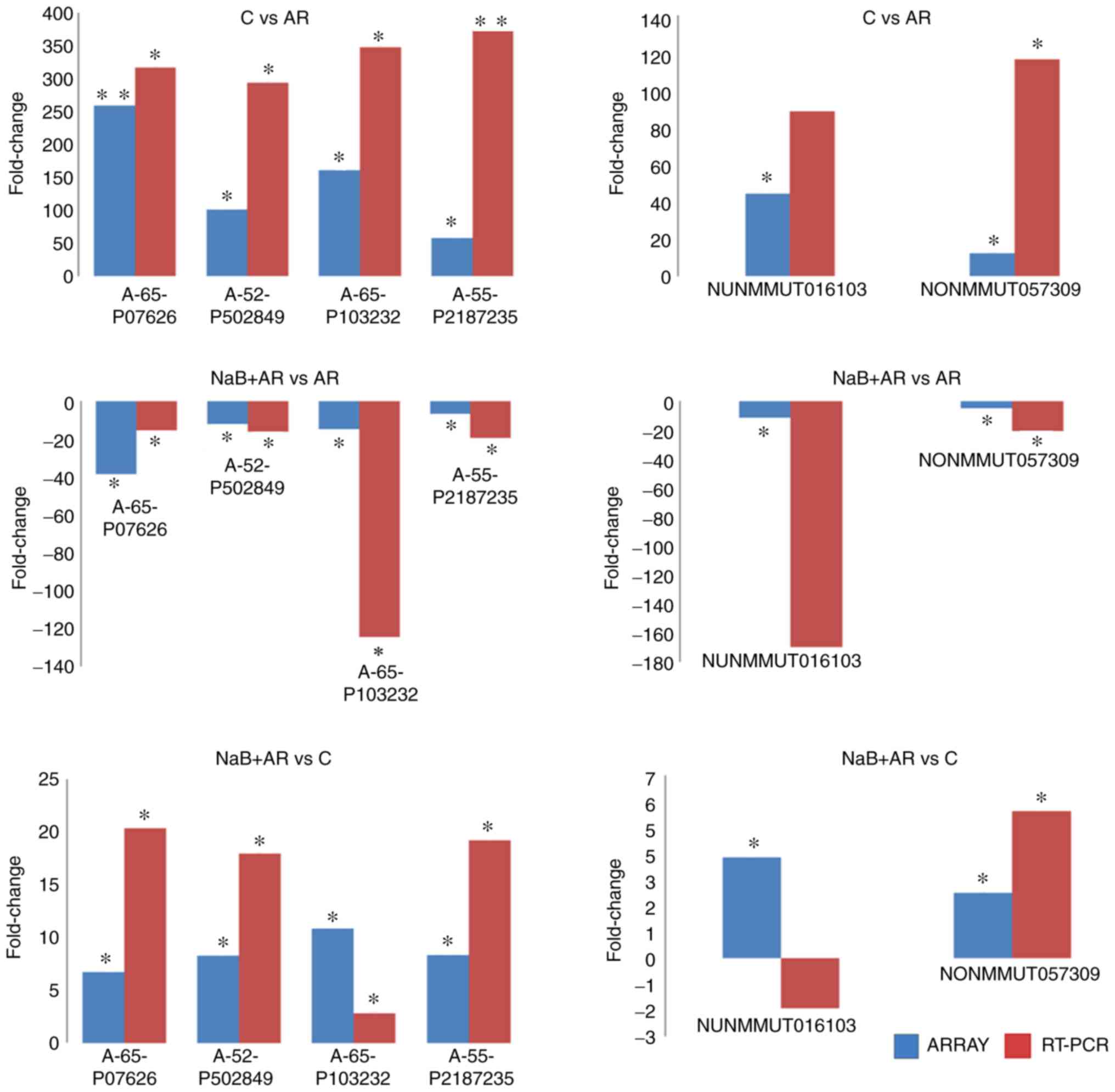 Sodium butyrate alleviates R97-116 peptide-induced myasthenia