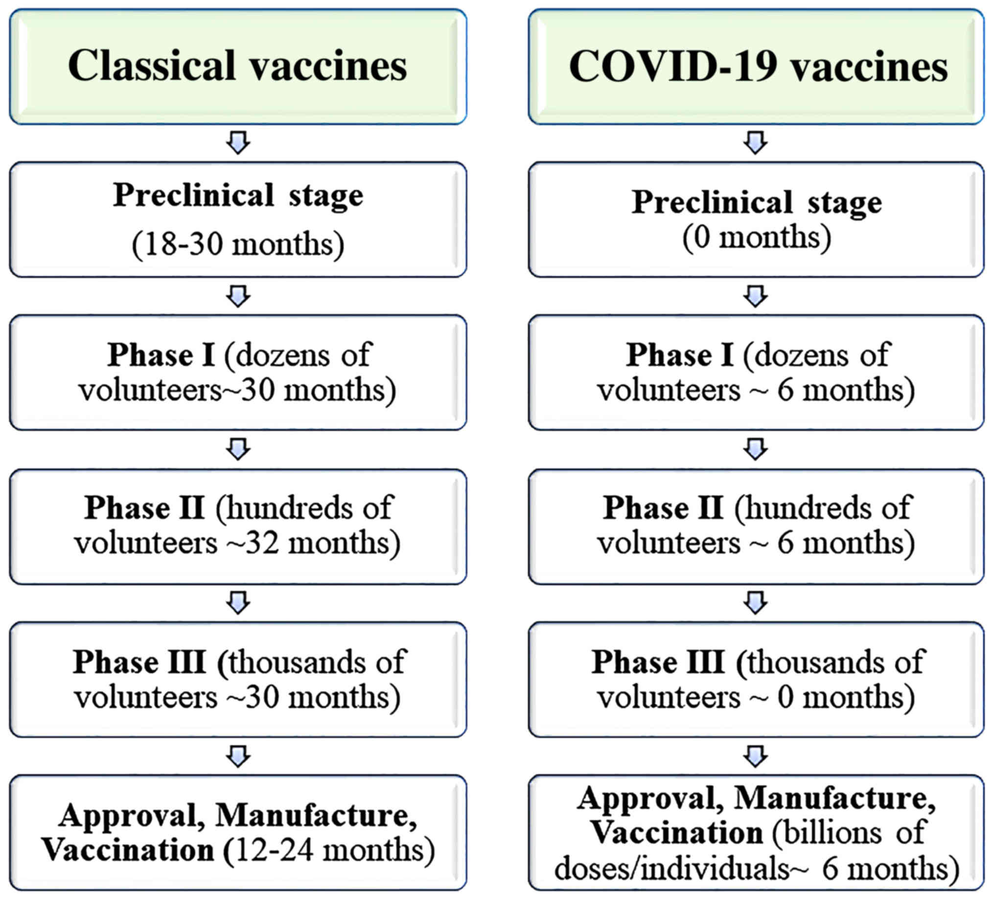 hypothesis for covid 19 vaccine