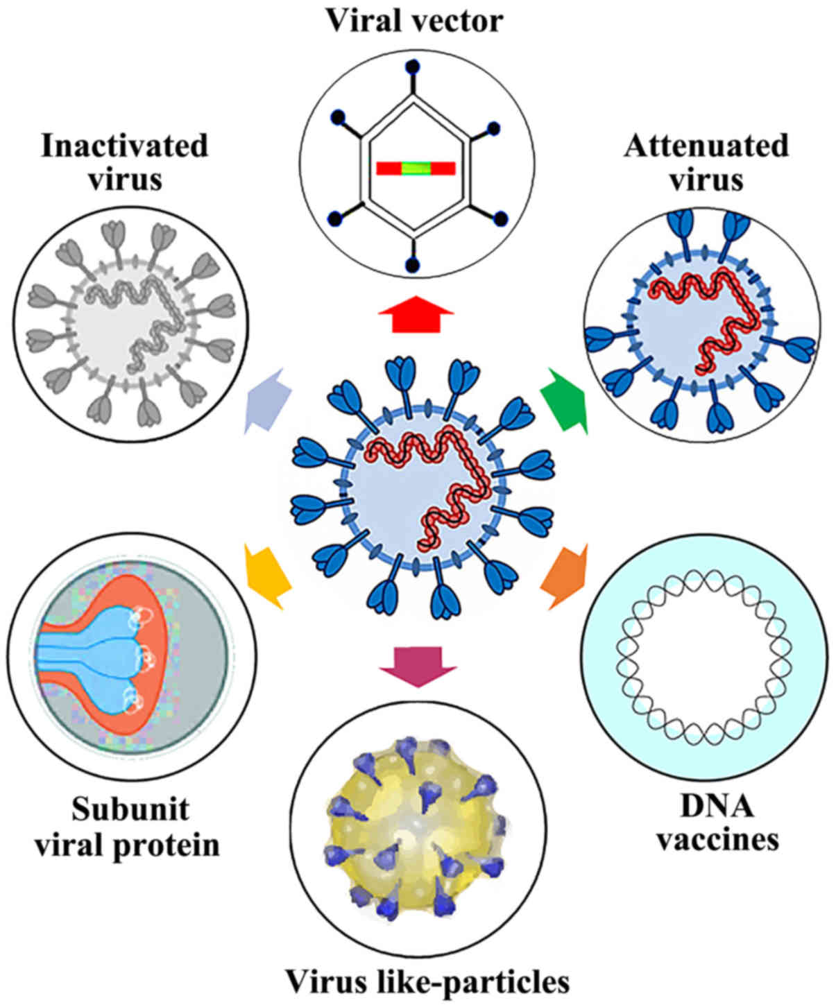 Different types of covid vaccines