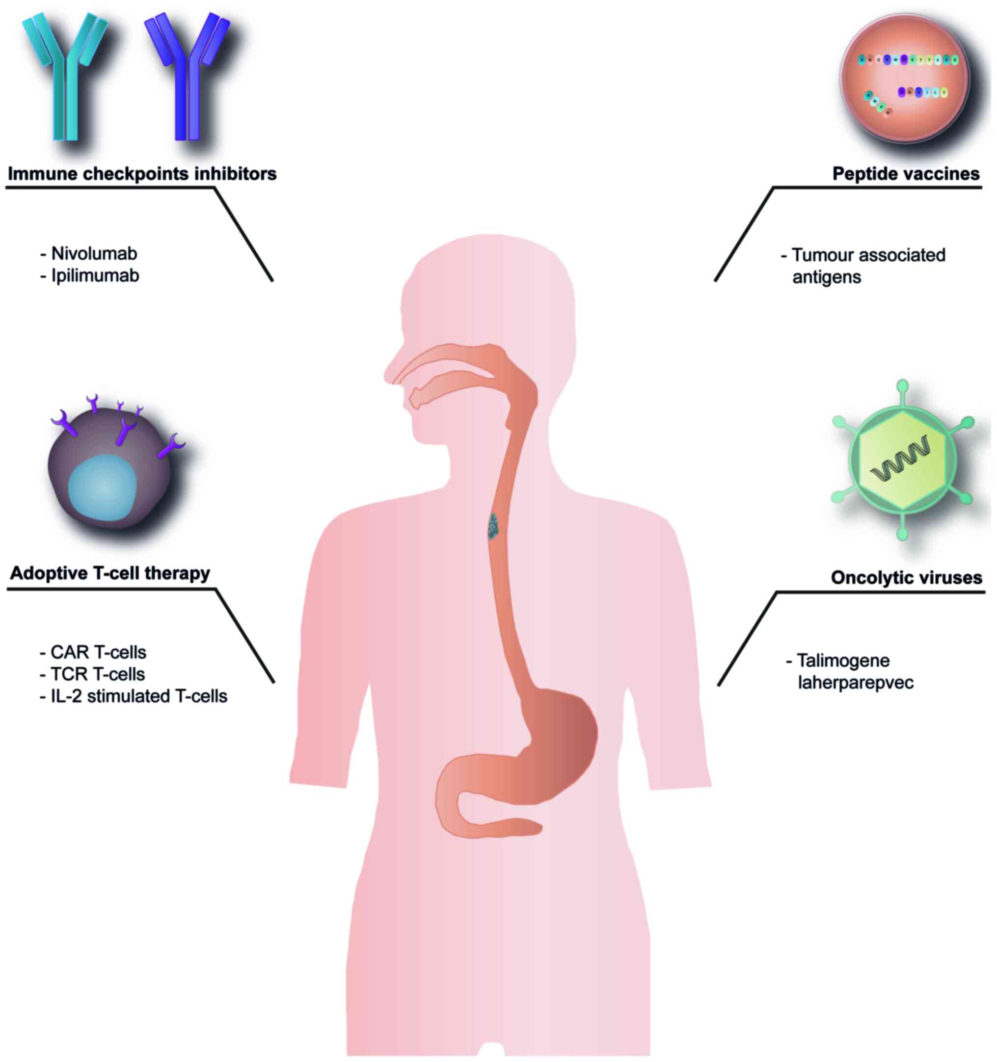 future research for esophageal cancer