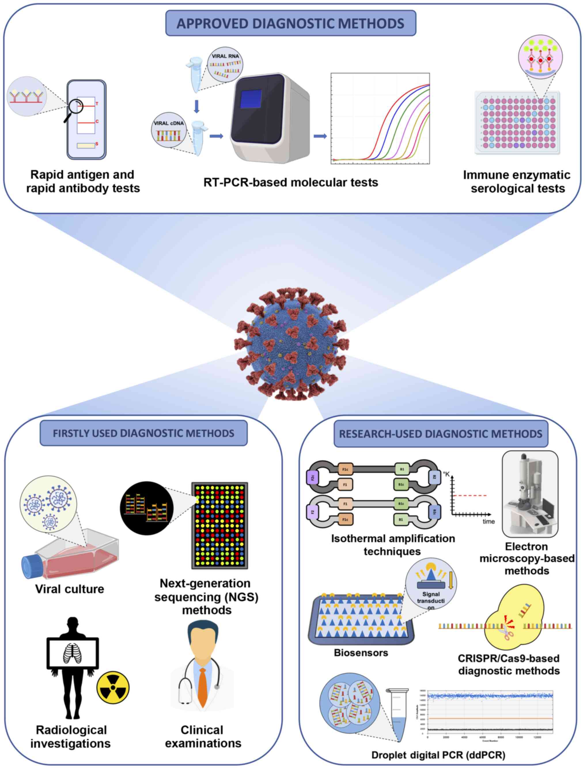 Current and innovative methods for the diagnosis of COVID‑19 infection  (Review)