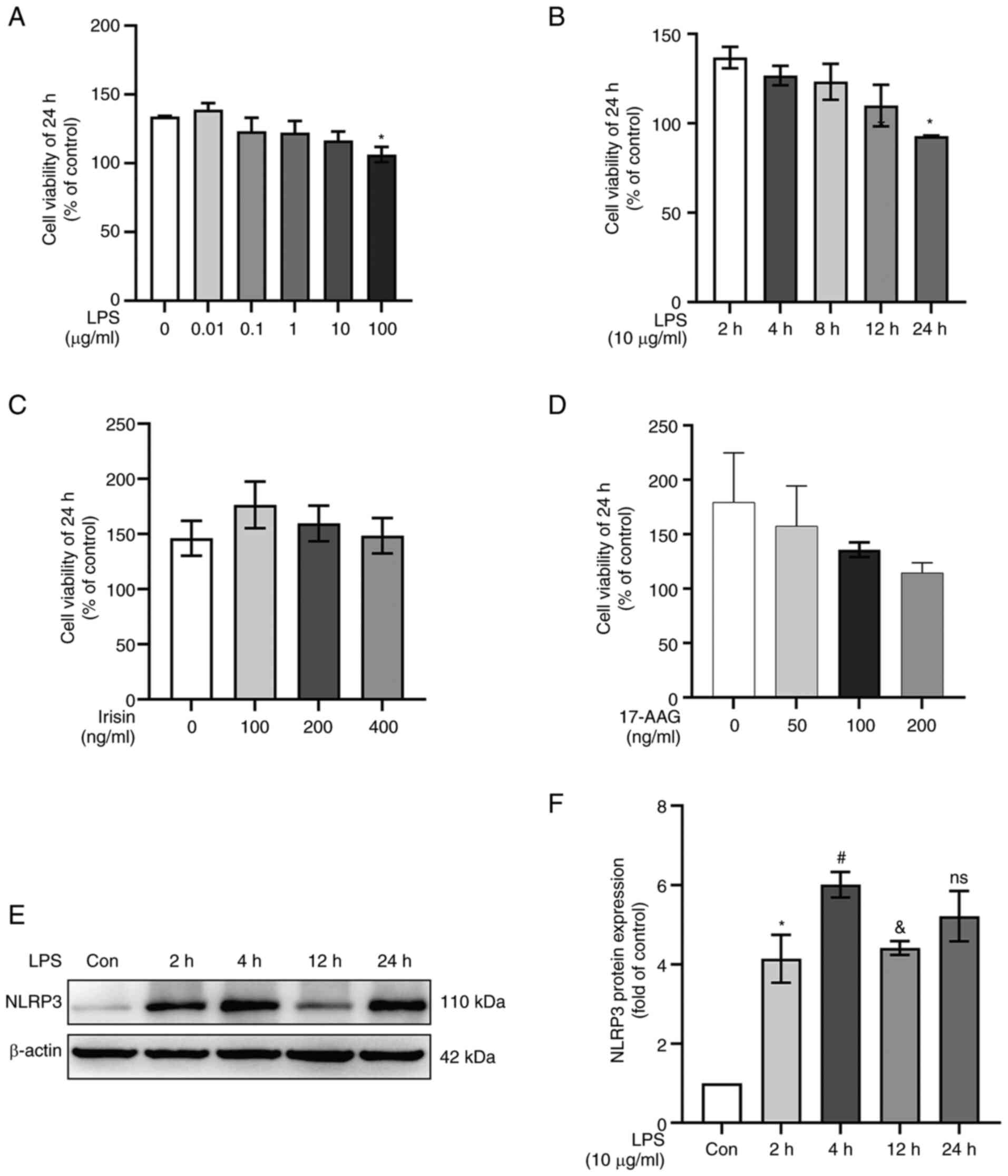 Irisin attenuates acute lung injury by suppressing the pyroptosis of ...