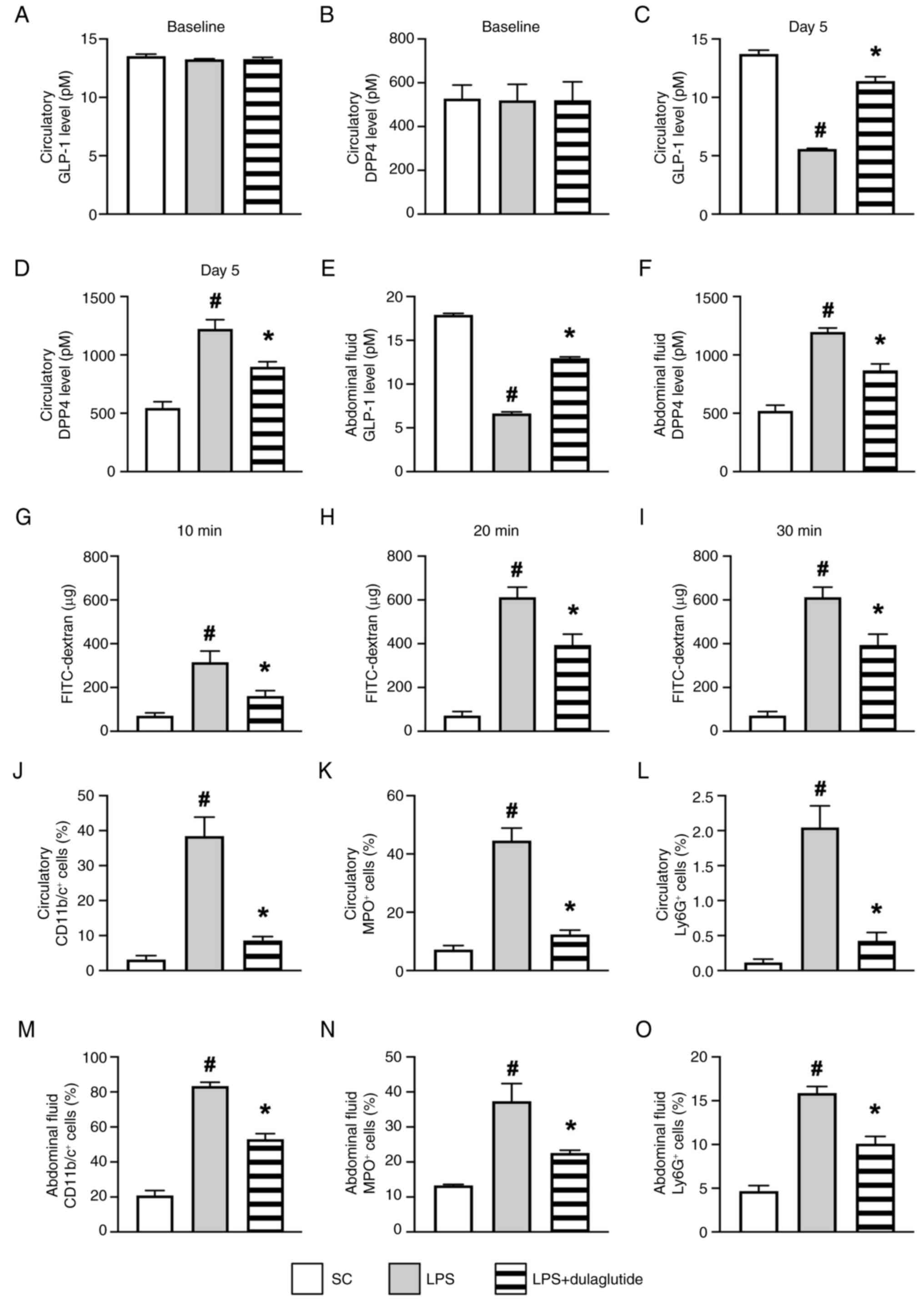 LPS induces peritoneal damaged by day
5 of treatment. Circulating levels of (A) GLP-1 and (B) DPP4 at
baseline. Circulating levels of (C) GLP-1 and (D) DPP4 at day 5.
Abdominal levels of (E) GLP-1 and (F) DPP4 at day 5. Circulating
levels of the indicator of peritoneal permeability FITC-dextran (G)
10, (H) 20 and (I) 30 min after LPS treatment. Flow cytometric
analysis of the number of (J) CD11b/c+, (K)
MPO+ anf (L) Ly6G+ cells in circulation. Flow
cytometric analysis of the number of (M) CD11b/c+, (N)
MPO+ cells and (O) Ly6G+ cells in the
abdominal fluid. All statistical analyses were performed by one-way
ANOVA, followed by Bonferroni's multiple comparisons post hoc test
(n=6/group). #P<0.05 vs. SC; *P<0.05
vs. LPS. DPP4, dipeptidyl peptidase 4; GLP-1, glucagon-like peptide
1; LPS, lipopolysaccharide; MPO, myeloperoxidase; SC, sham
control.