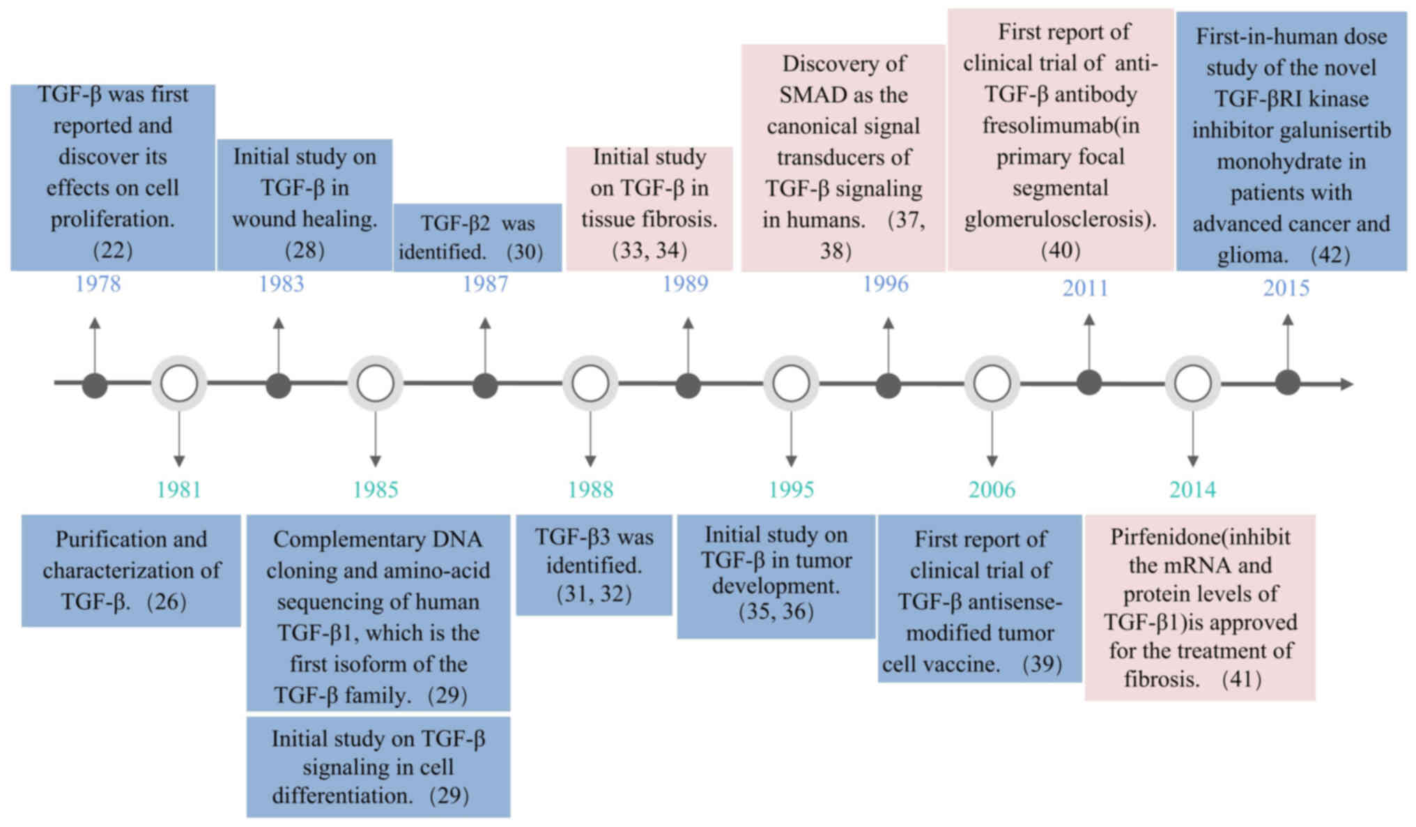Timeline of milestones in TGF-β
signaling research.