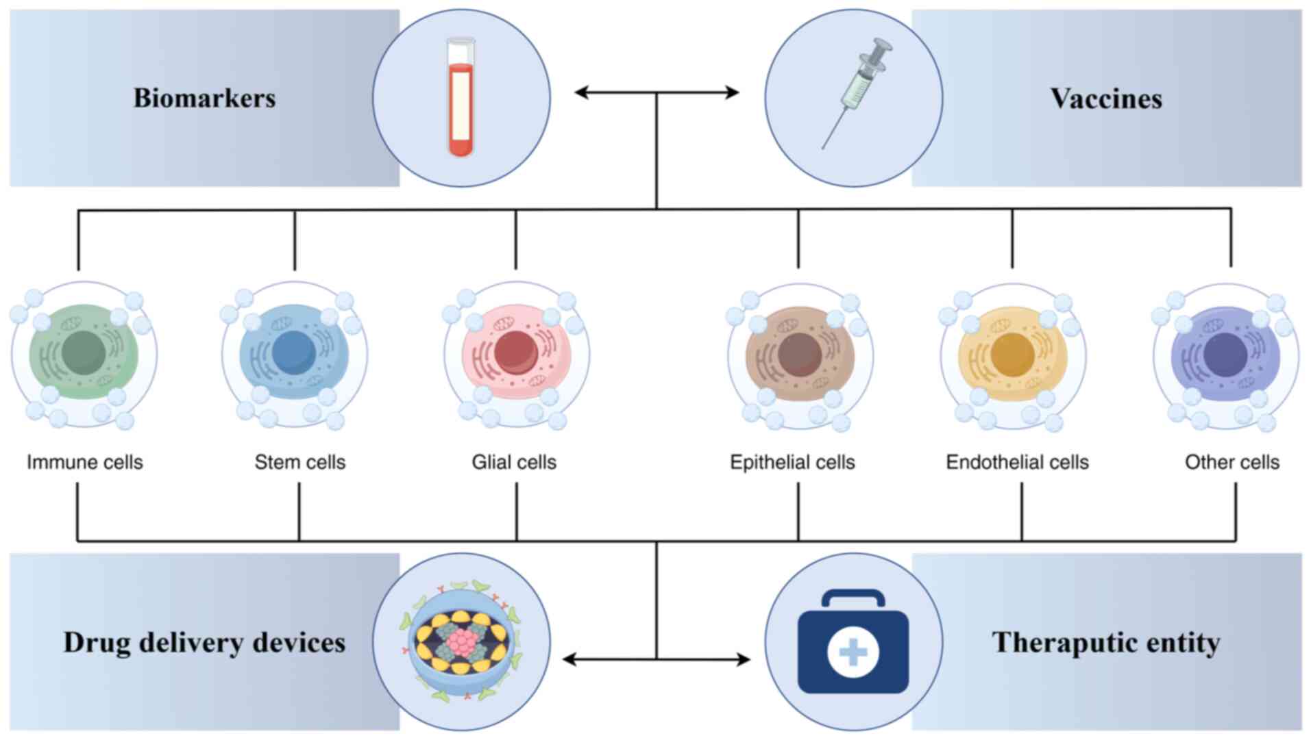 Functional roles of exosomes from
various cell sources. Exosomes originating from diverse cell types
including immune cells, stem cells, glial cells, epithelial cells,
and endothelial cells hold immense potential in medical
applications. They play crucial roles in disease diagnosis,
therapeutic strategies, and drug delivery systems.