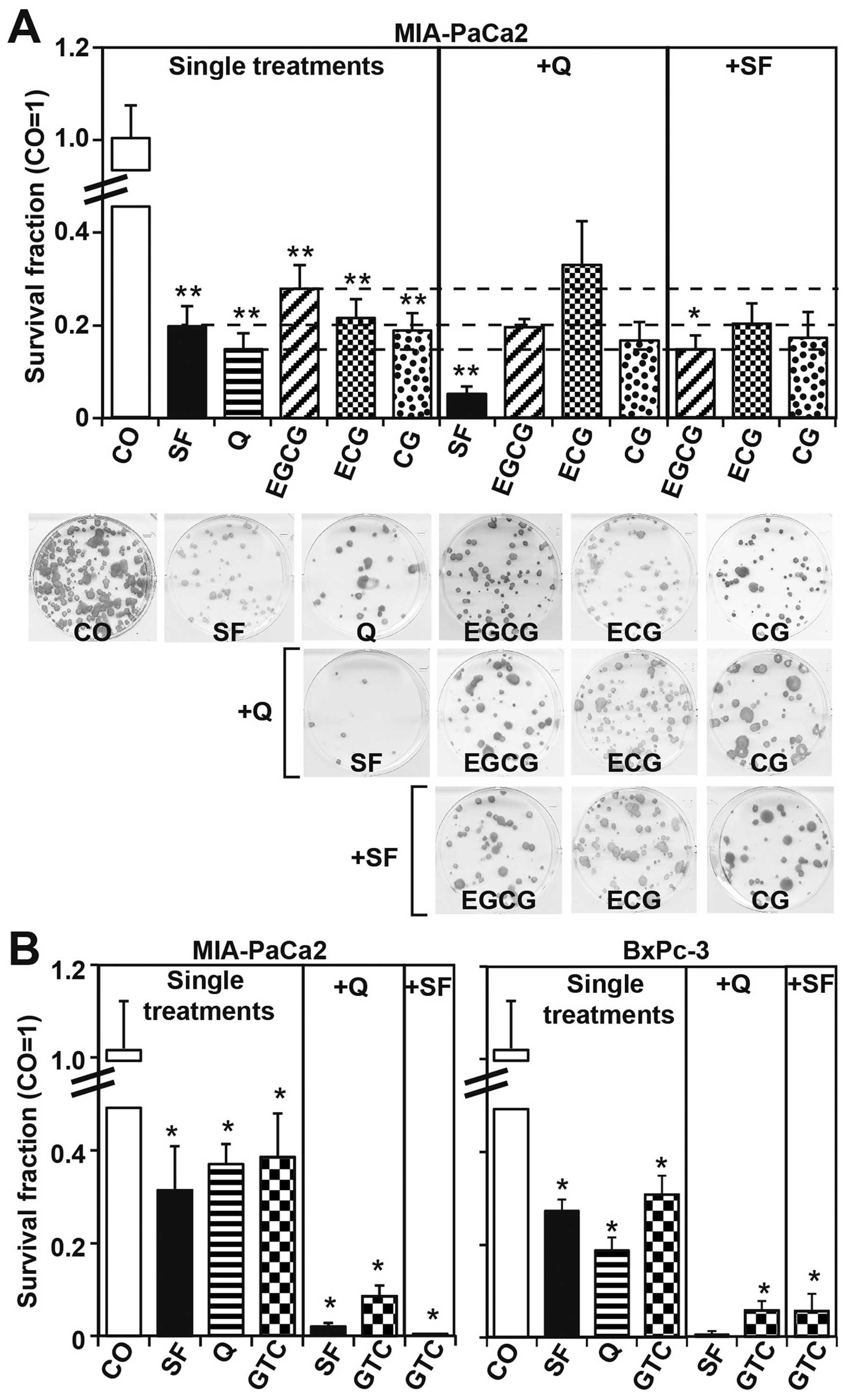 Sulforaphane Quercetin And Catechins Complement Each Other In Elimination Of Advanced Pancreatic Cancer By Mir Let 7 Induction And K Ras Inhibition